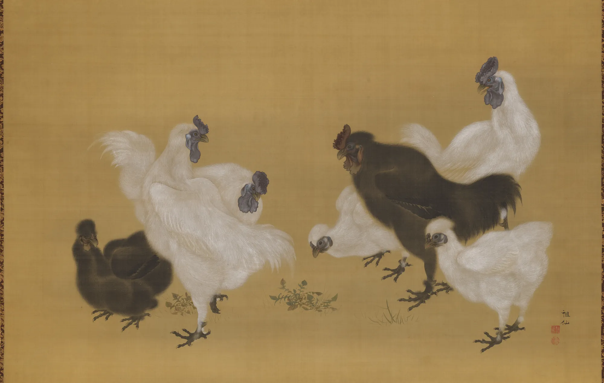 Silkies