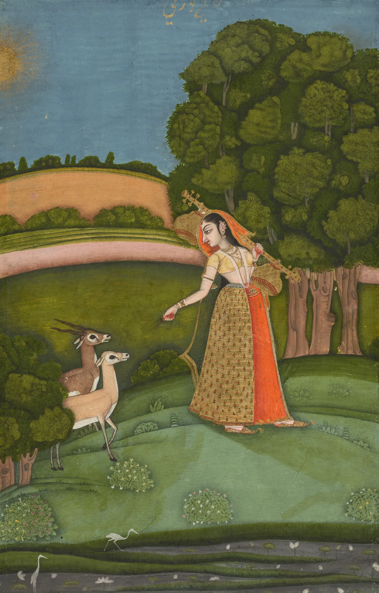 Todi Ragini