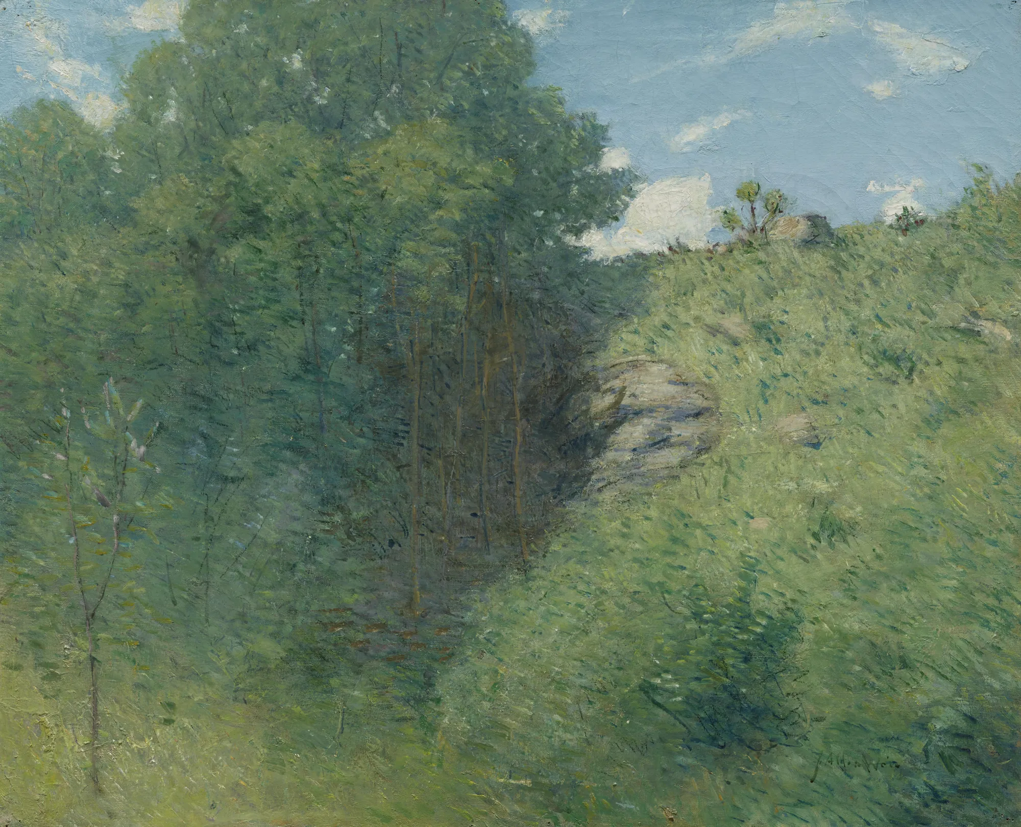 Ravine near Branchville