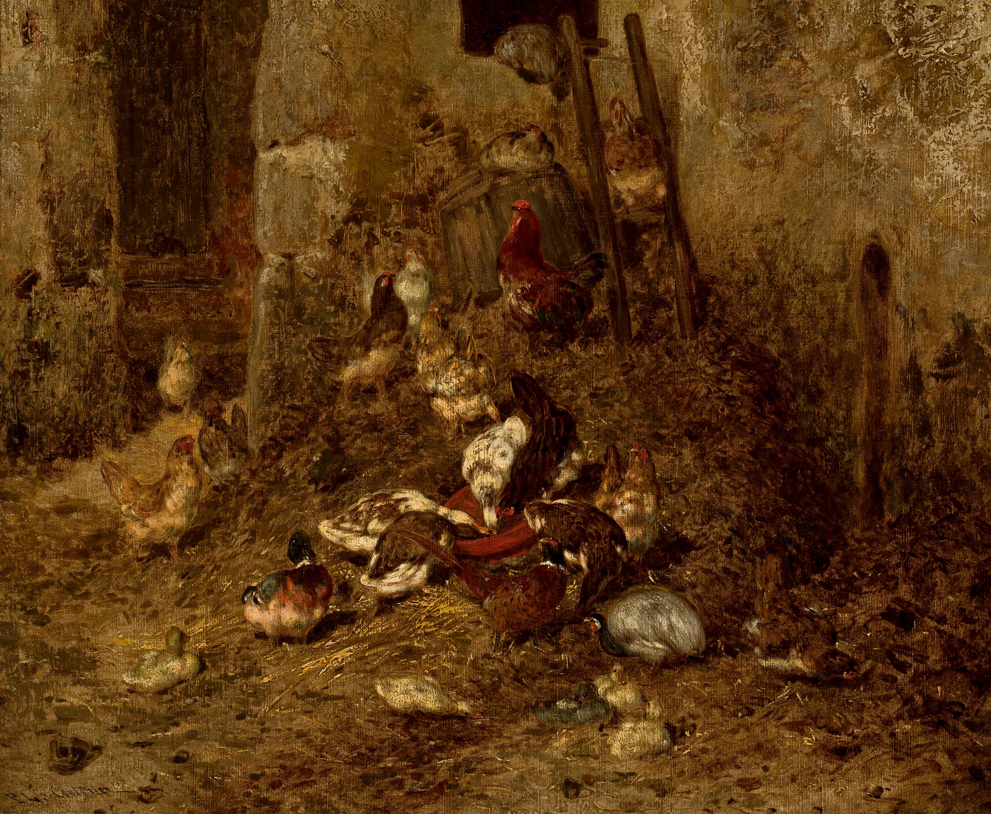 Domestic Fowl