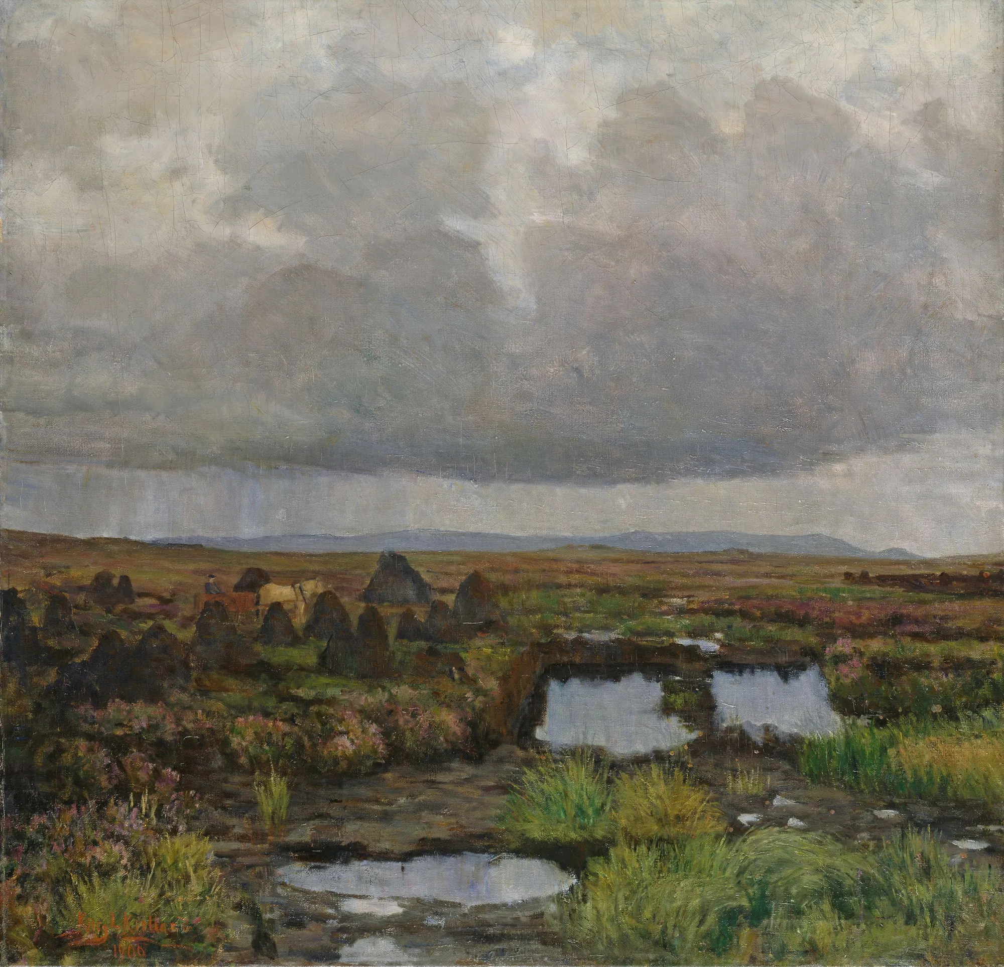 Peat Bog on Jæren