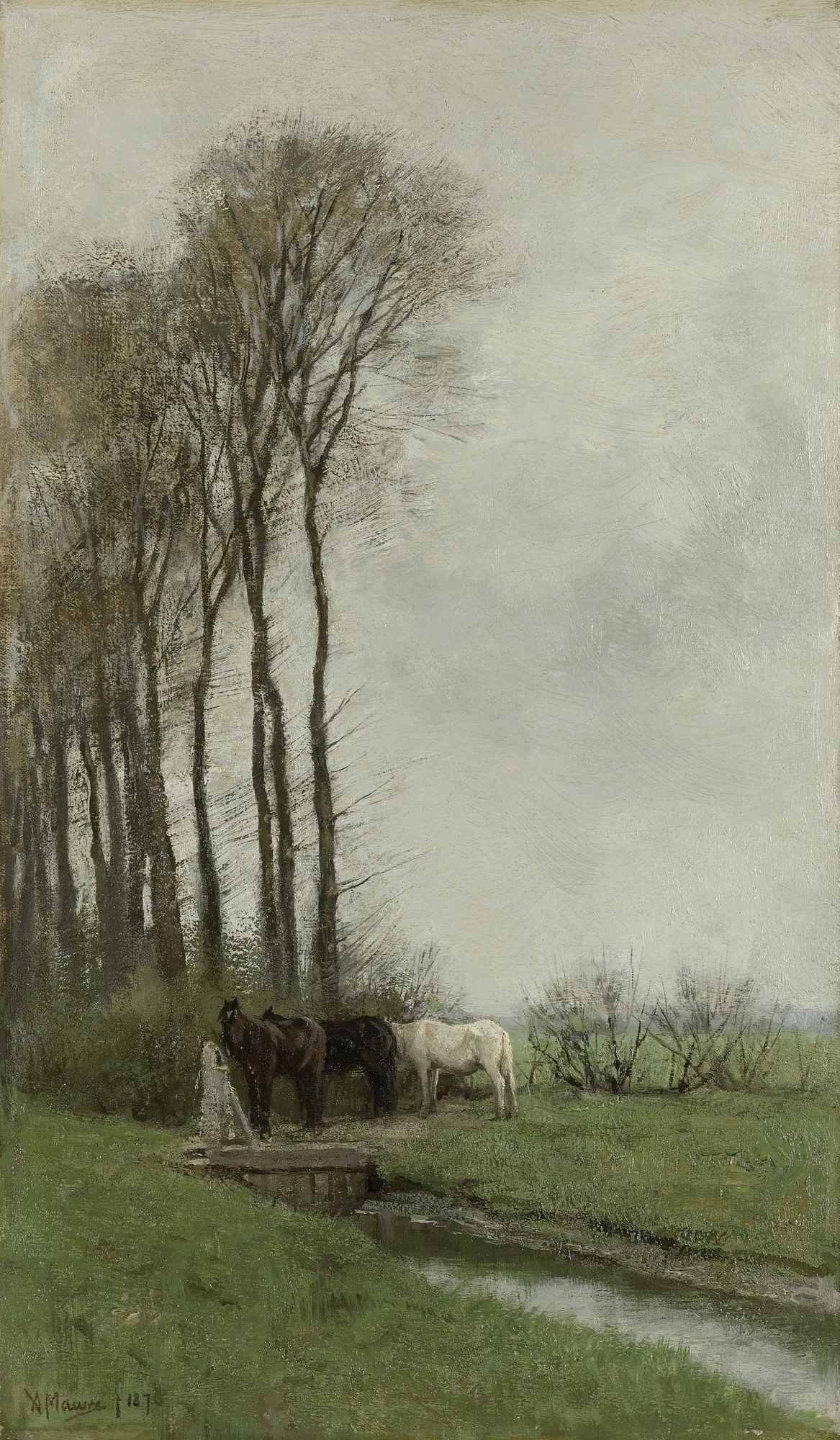 Horses near the Fence