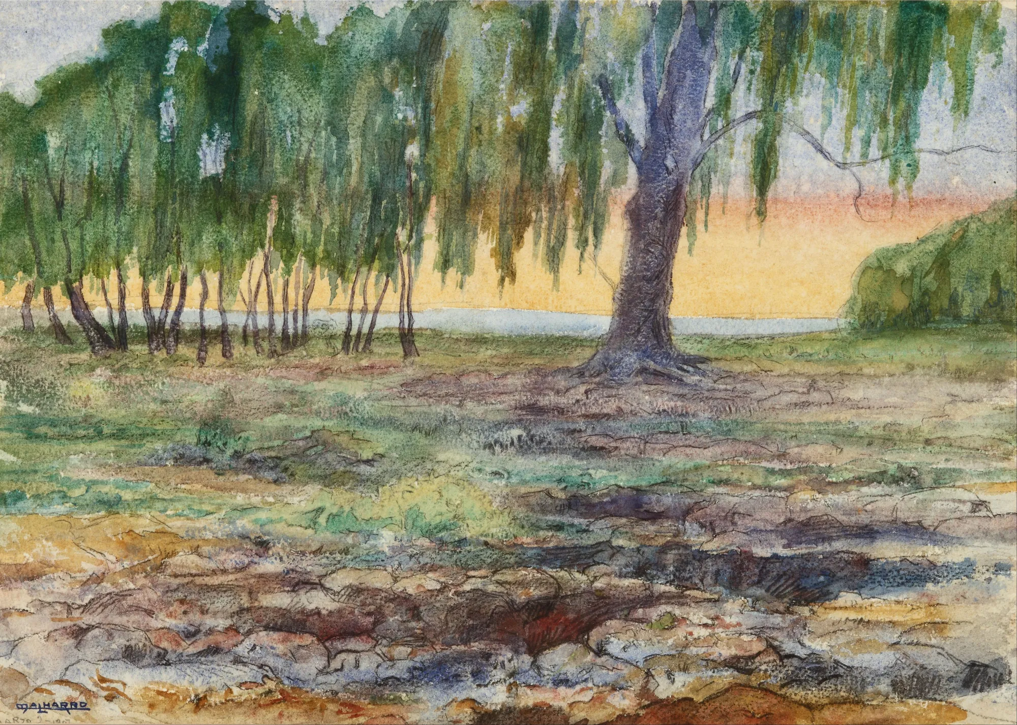 Landscape