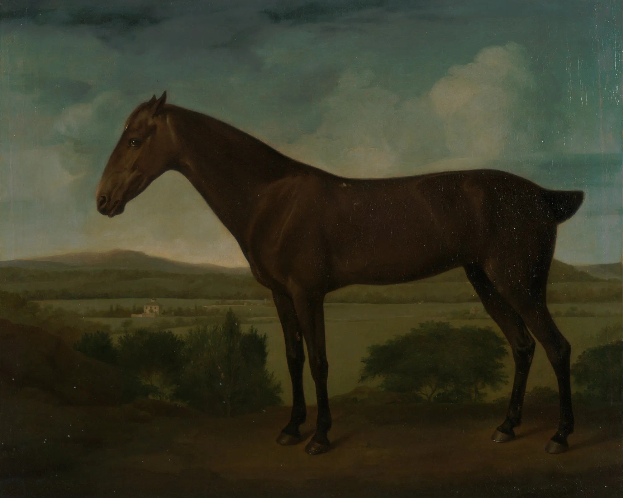 Brown Horse in a Hilly Landscape