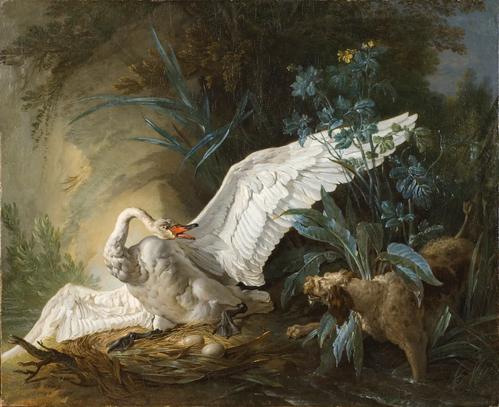 Water Spaniel Surprising a Swan on its Nest