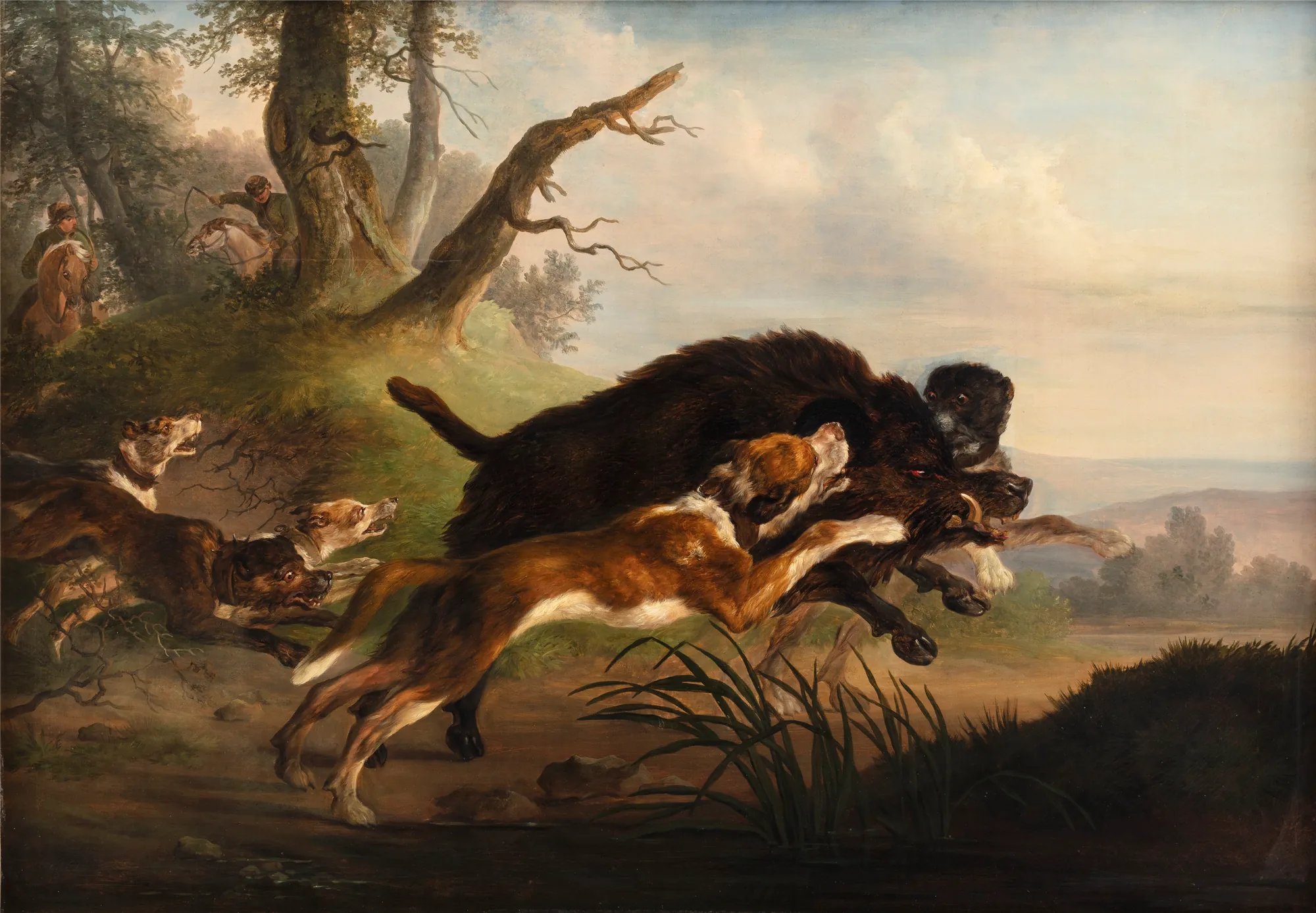 Wild Boar Hunt