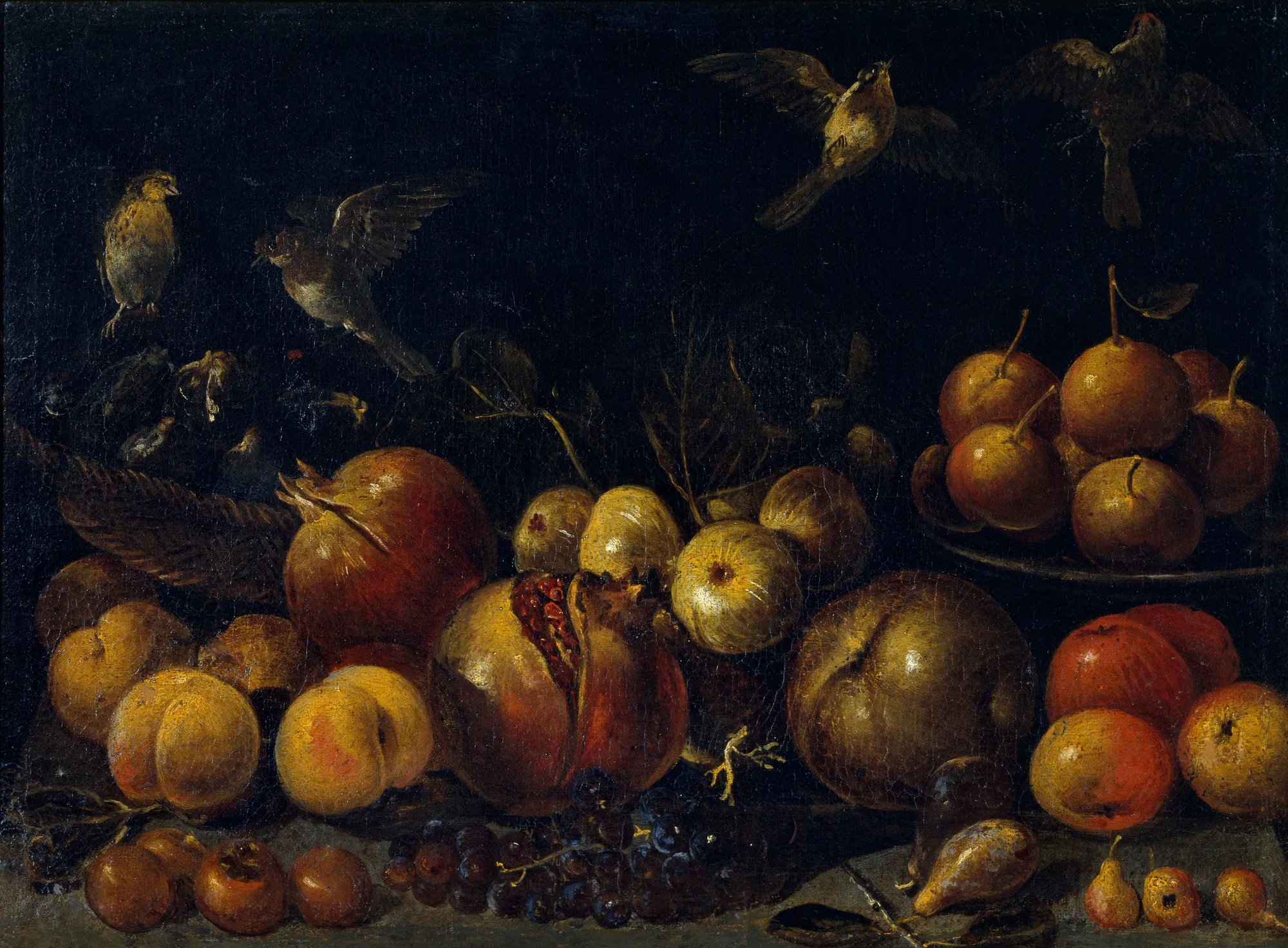 Still Life with Pomegranates, Apples, Pears, Grapes, Figs and Birds