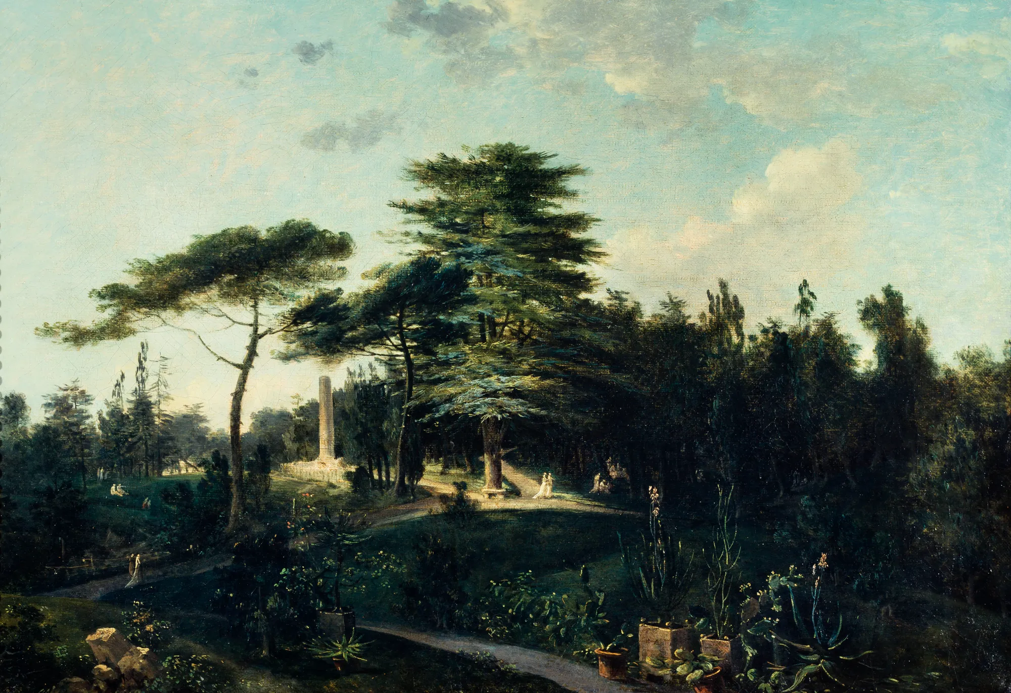 Le cèdre du Liban au Jardin des Plantes