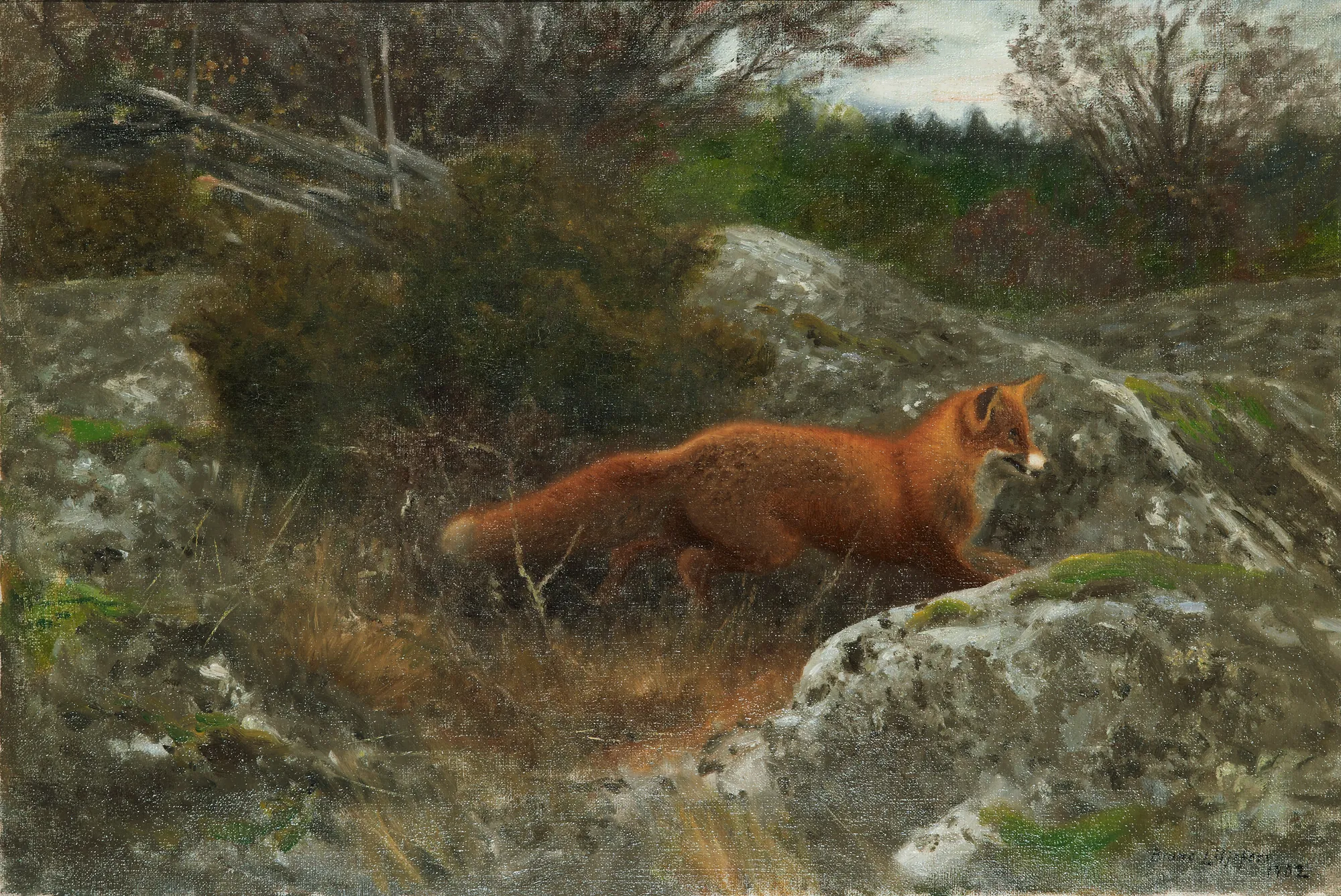 Fox in Autumn Landscape
