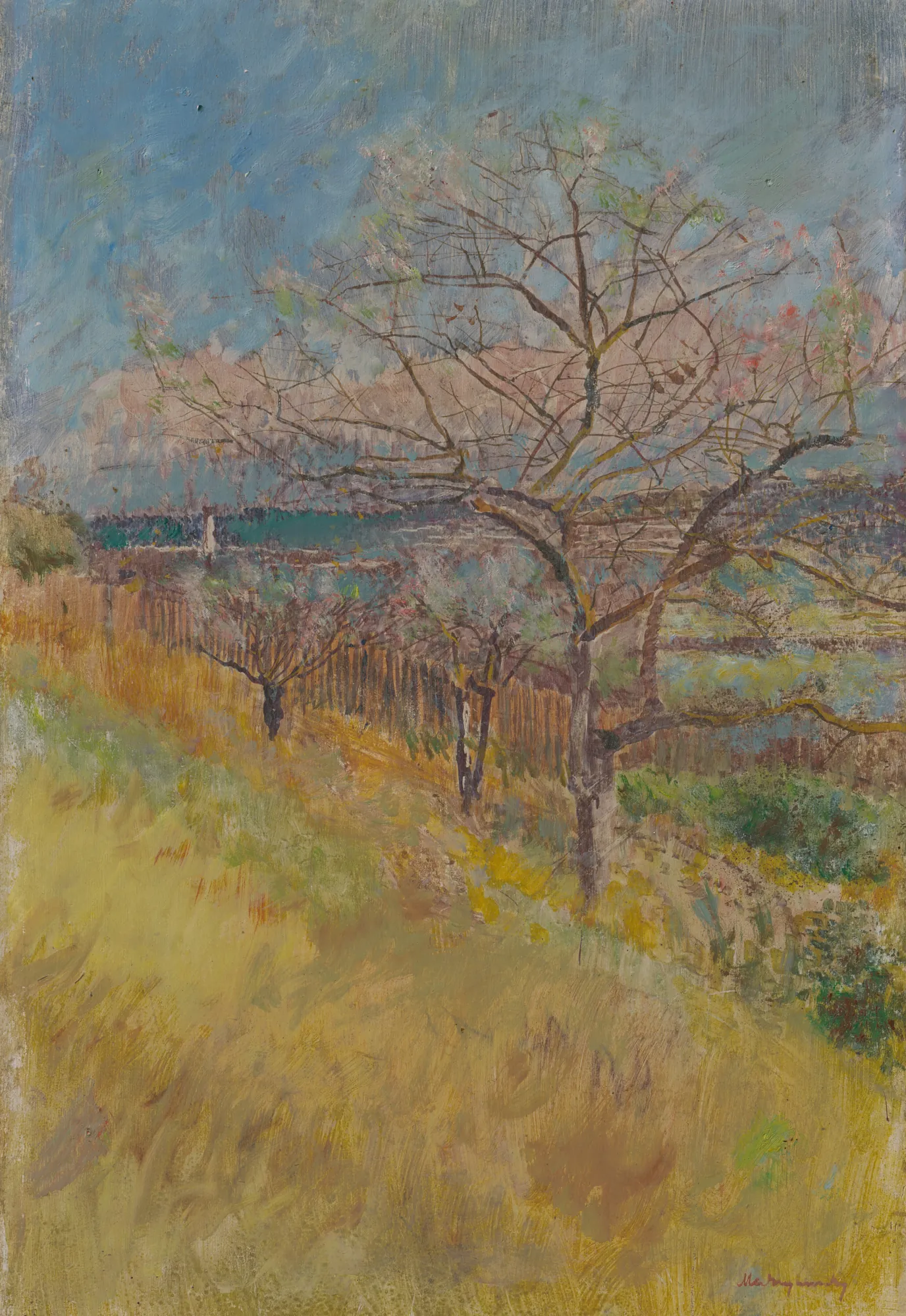 Valley with Trees in Bloom