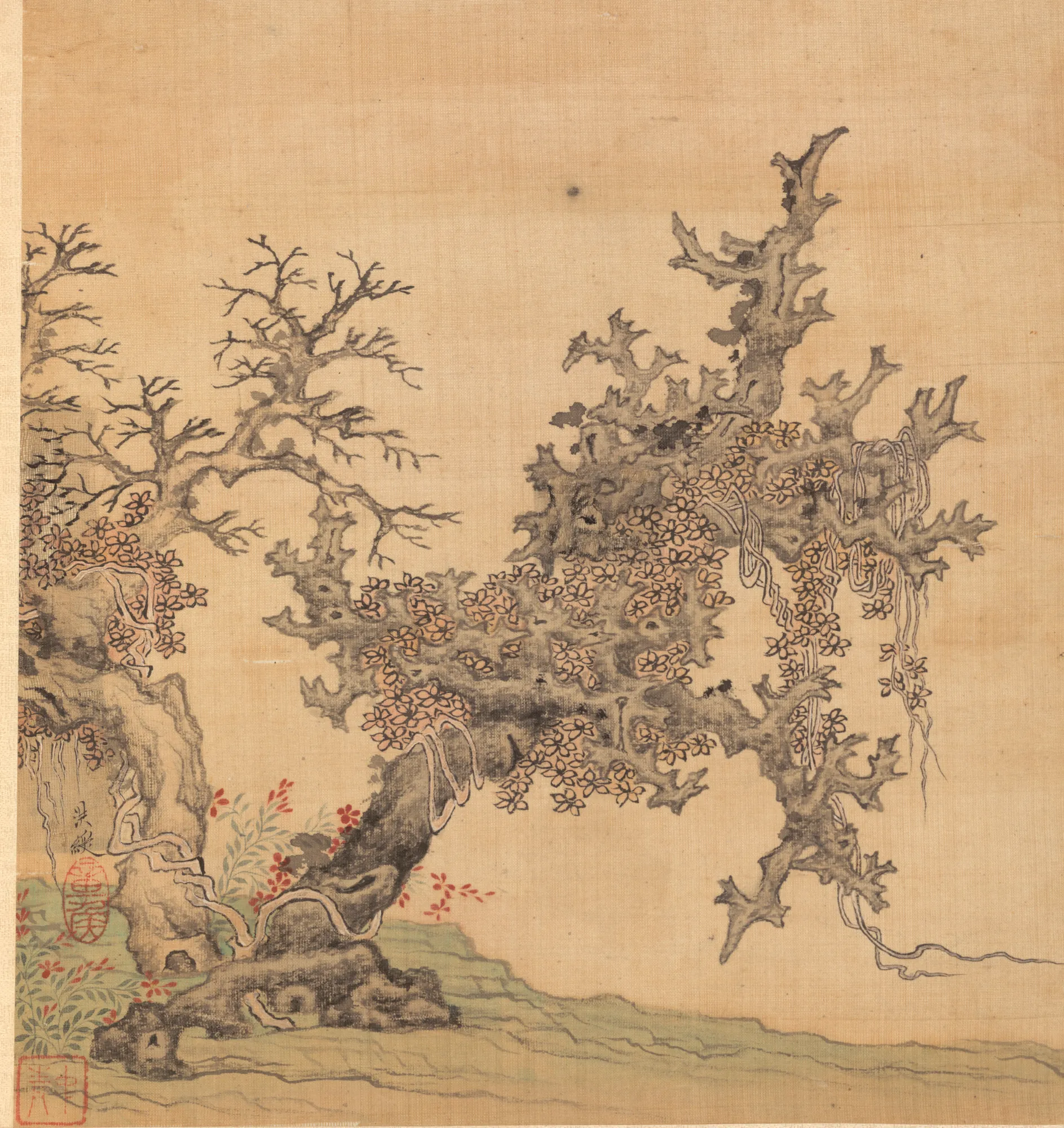 An Ancient Tree