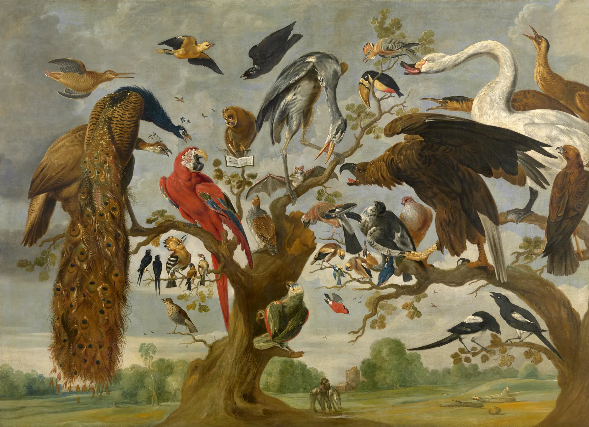 A Concert of Birds