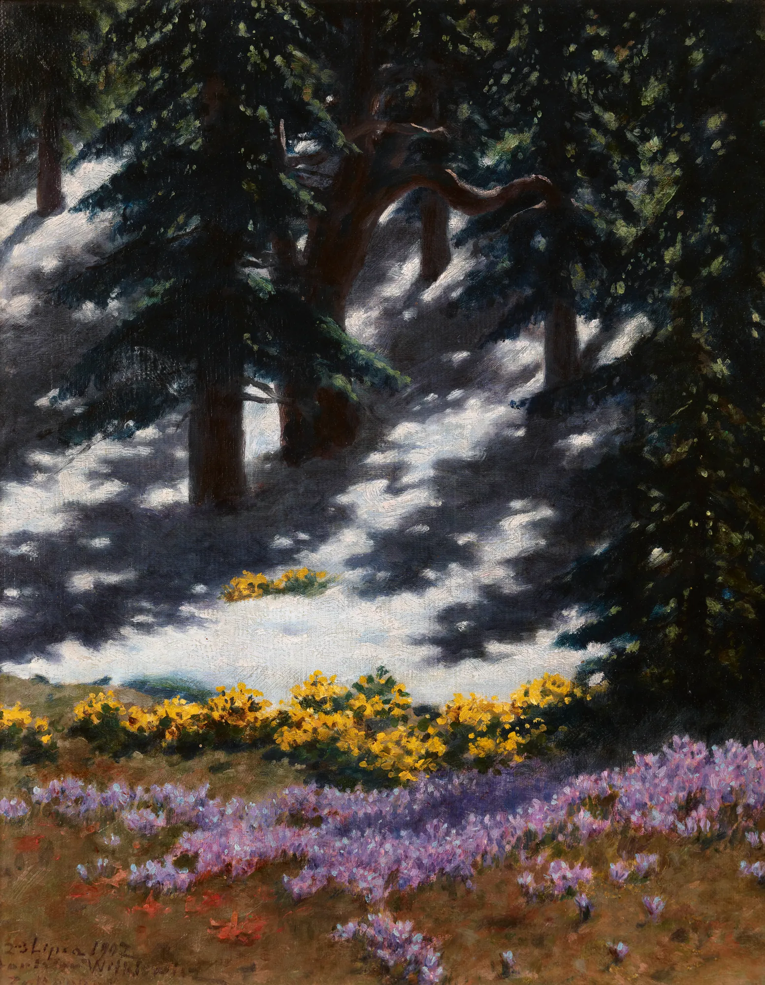 Crocuses and Marsh-Marigolds