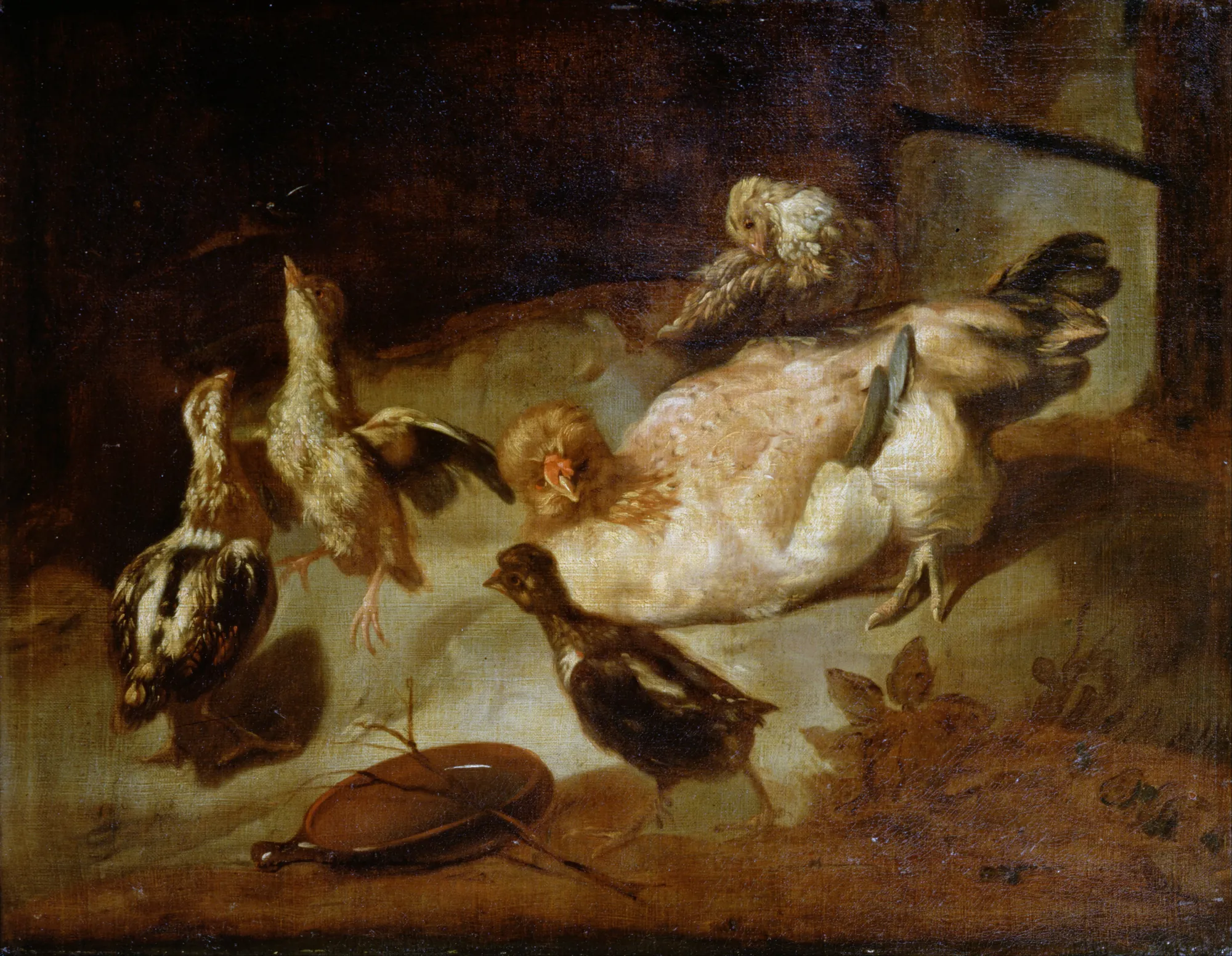 Poultry