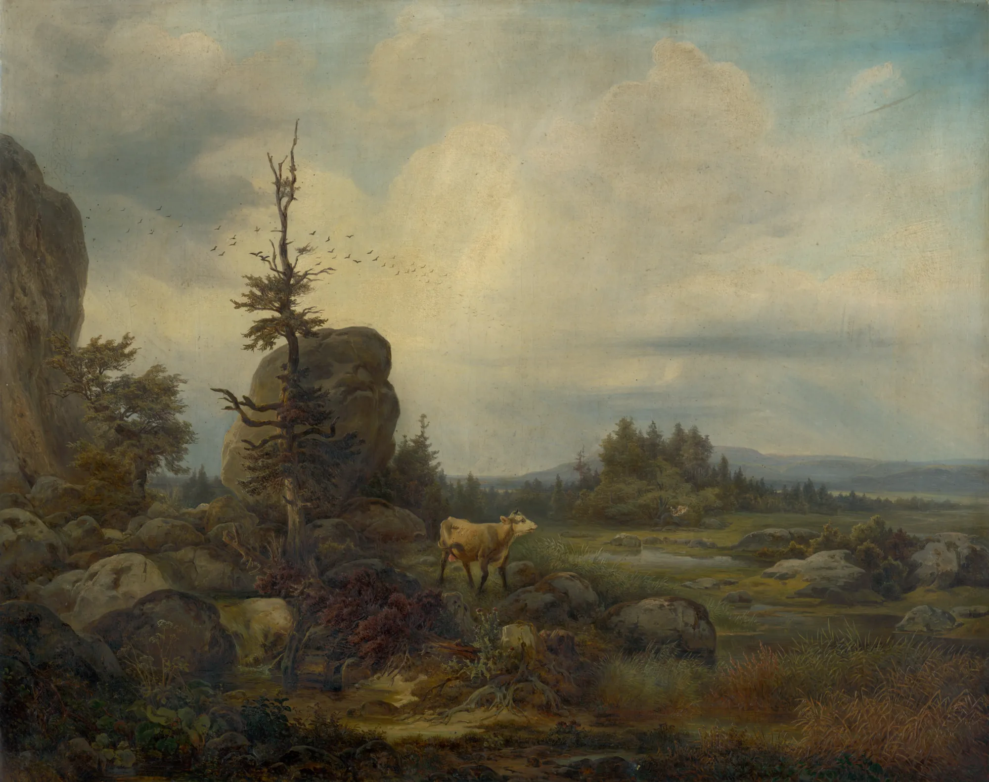 Rocky Landscape