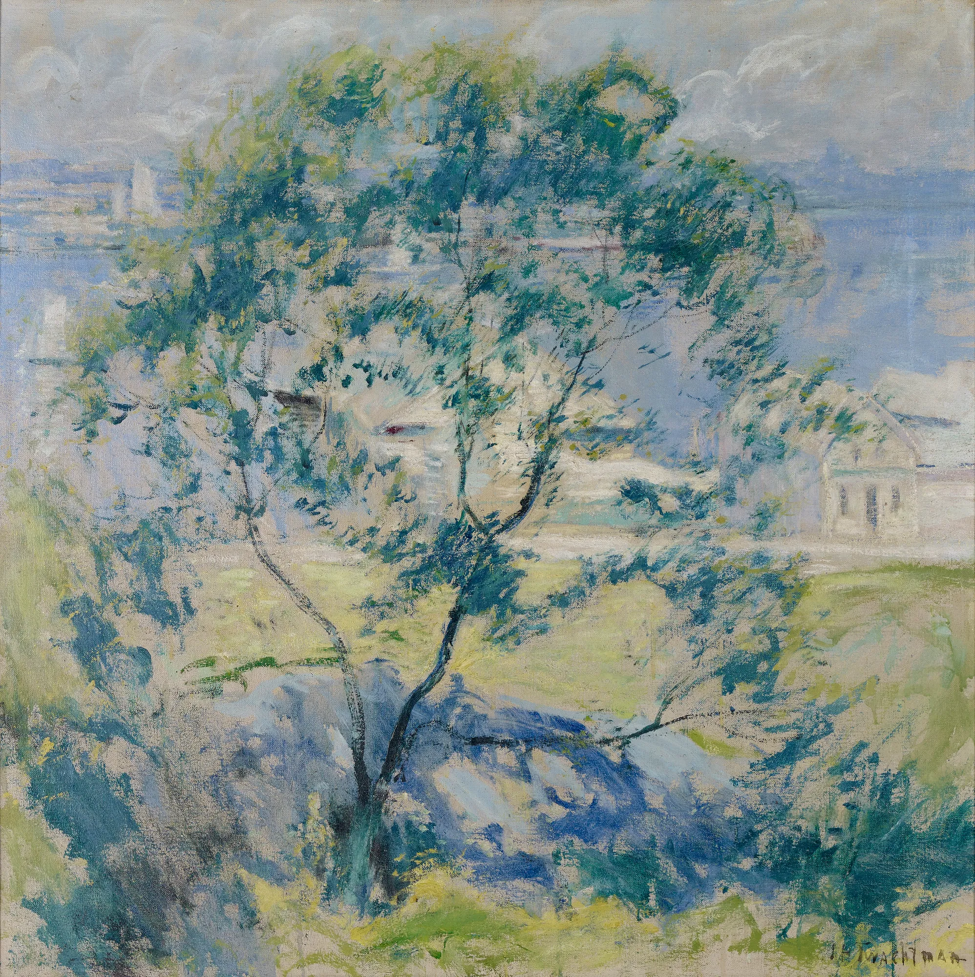The Wild Cherry Tree