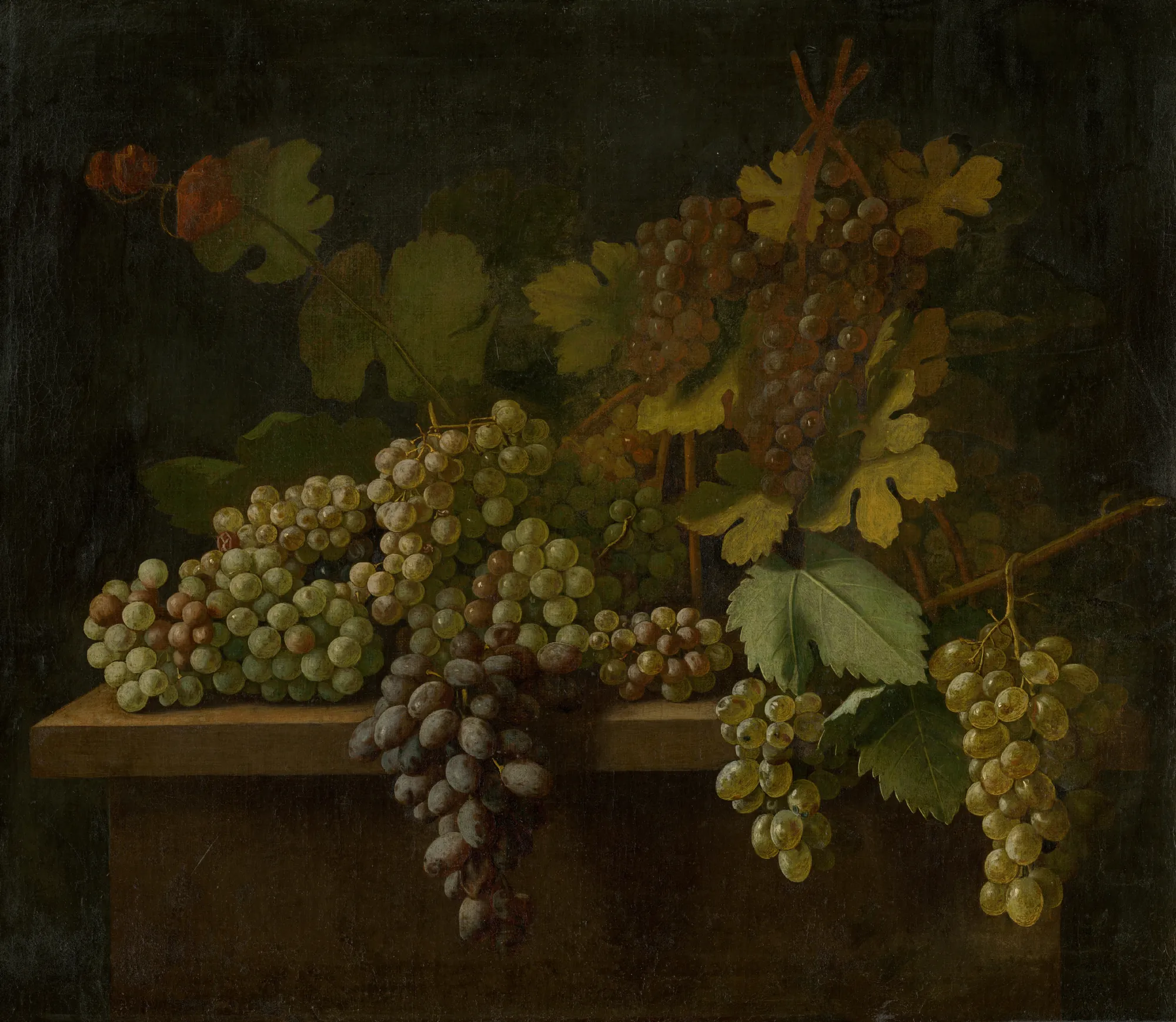 Still Life with Grapes