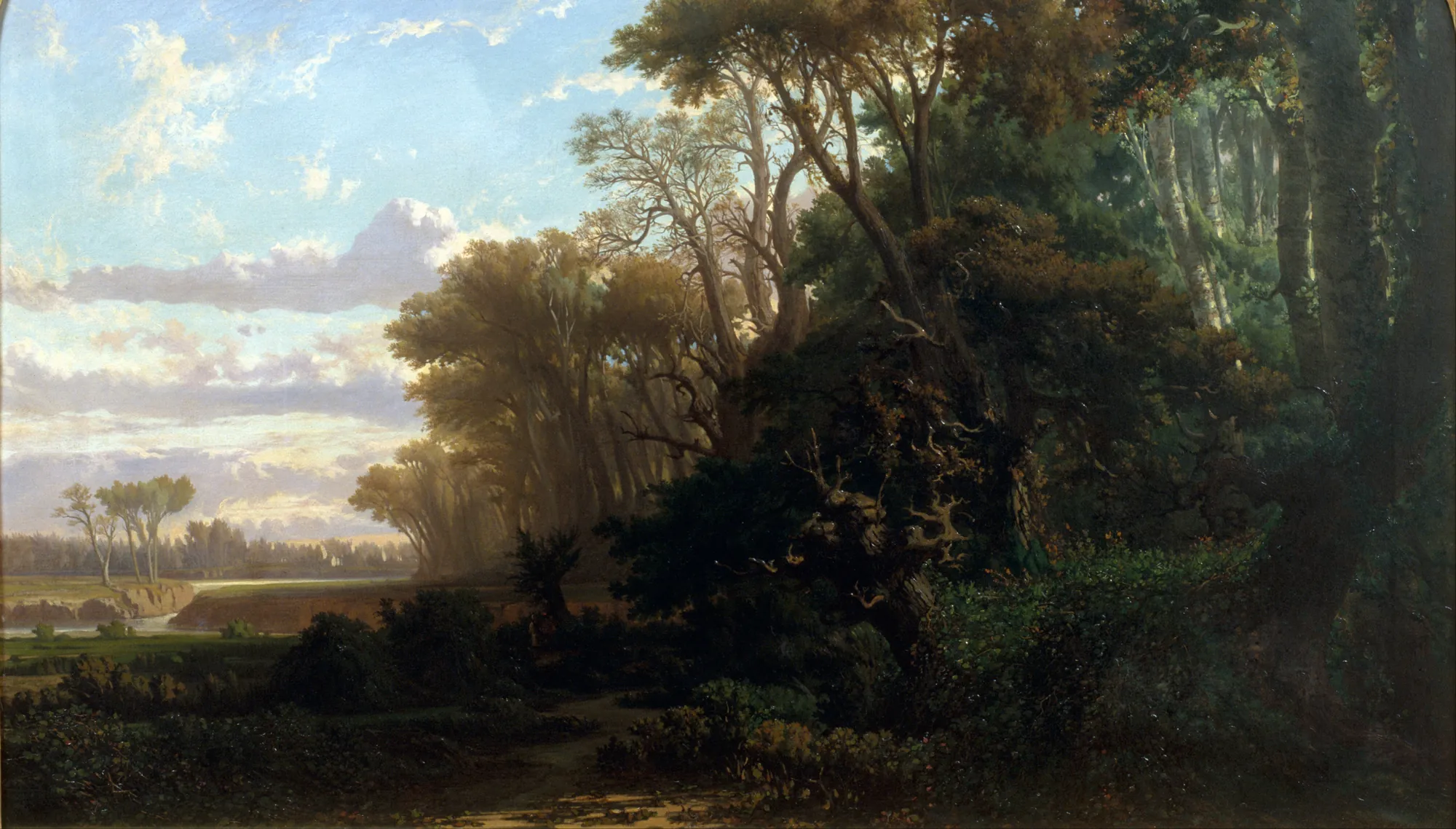 Landscape with Woods