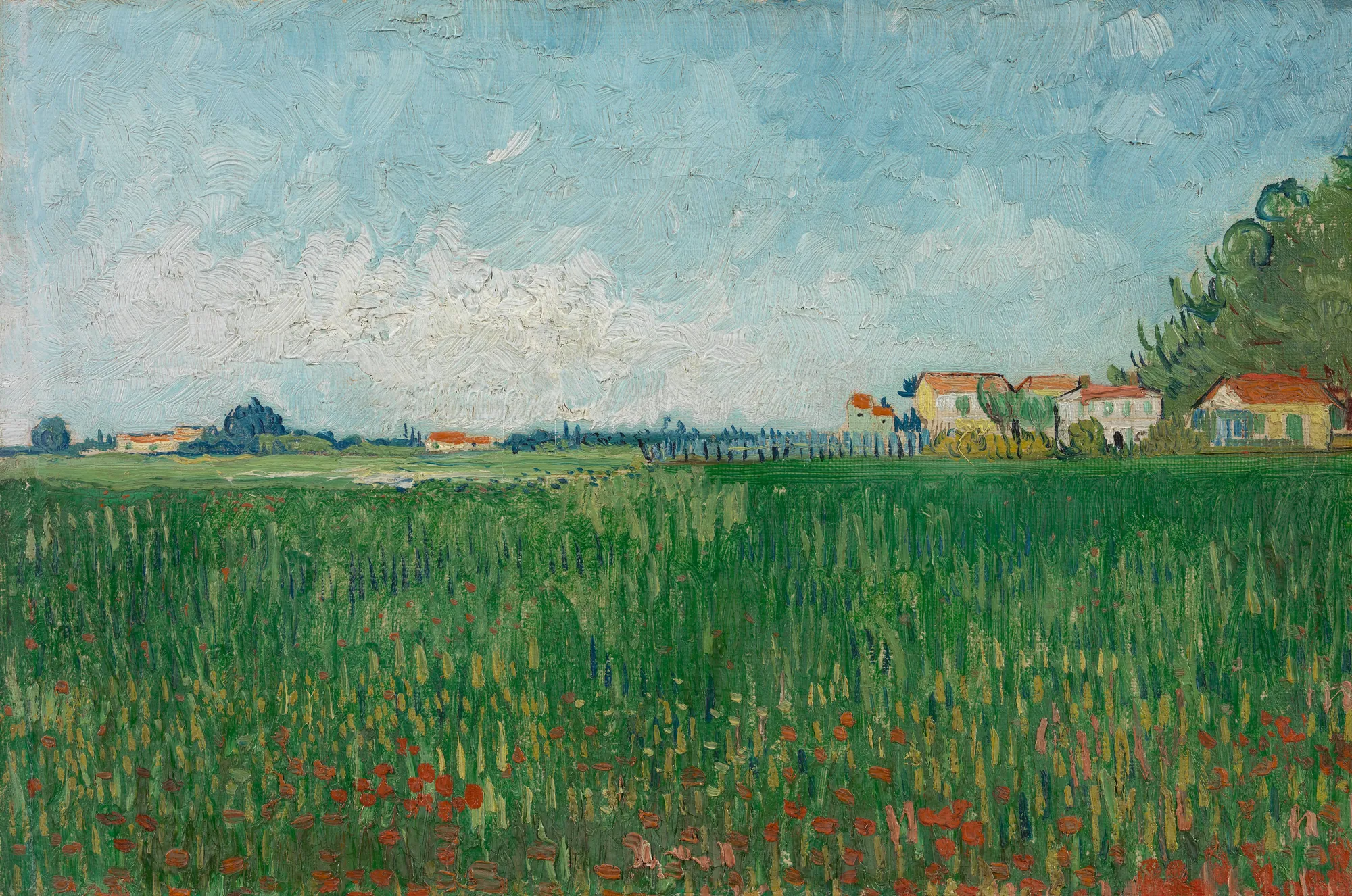 Field with Poppies