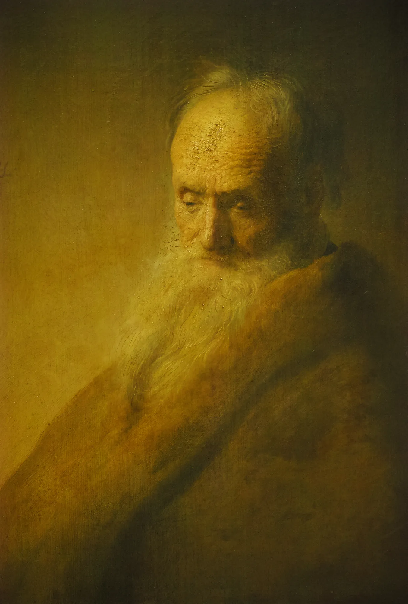 Bust of an Old Man Bust of an Old Man by Jan Lievens. A portrait of an elderly man with a voluminous white beard and downcast eyes, rendered in warm, dramatic light.