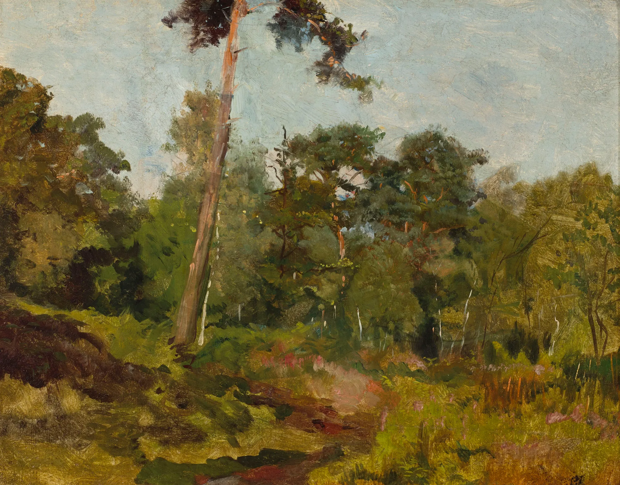 Bois de Boulogne