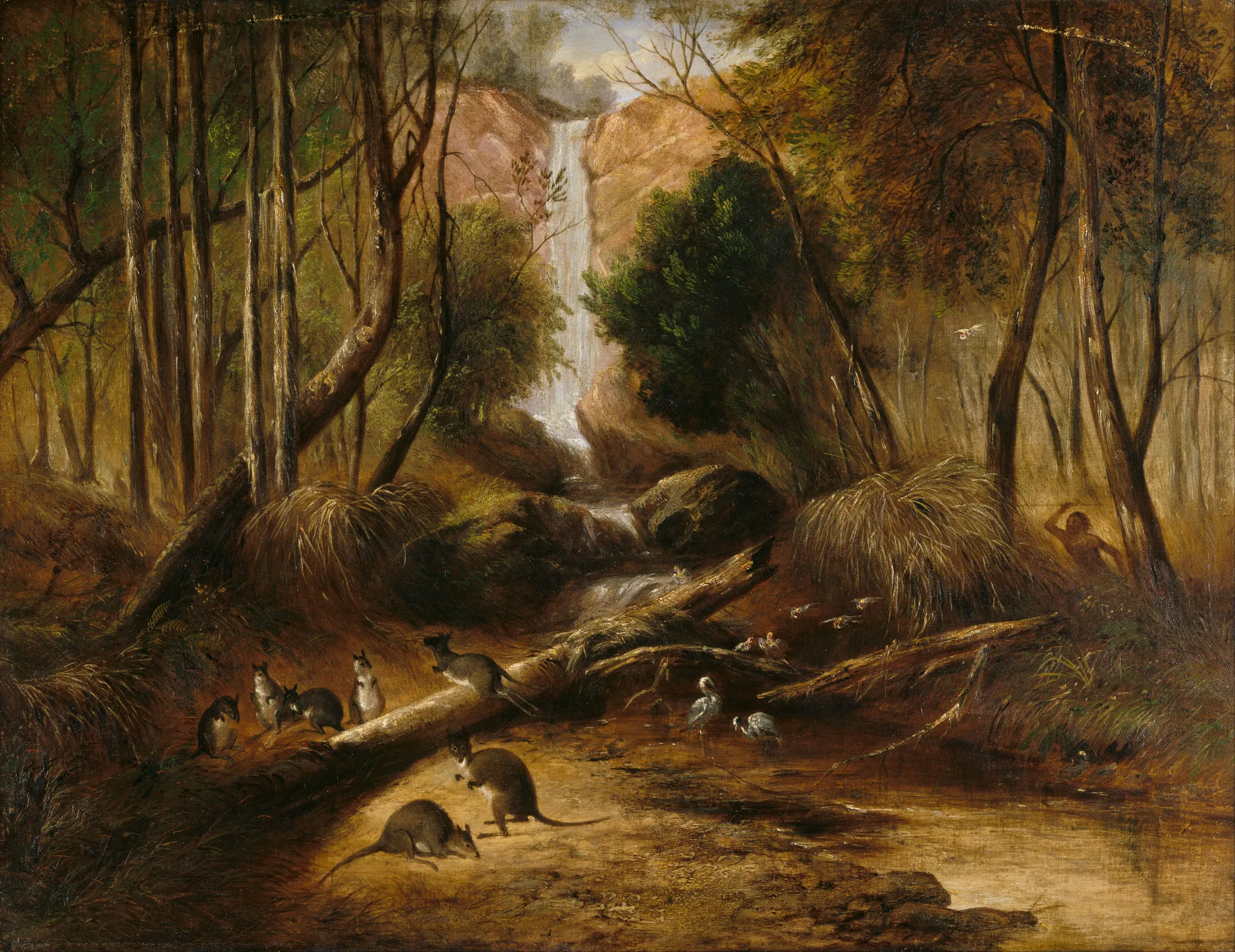 Bush Landscape with Waterfall and Native Animals, New South Wales