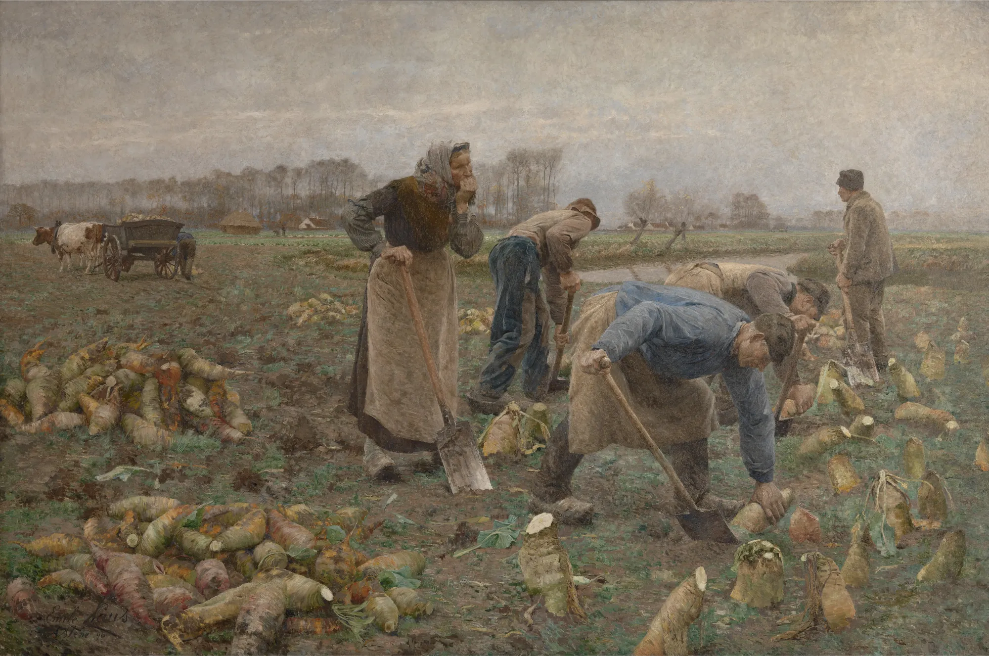 The Beet Harvest