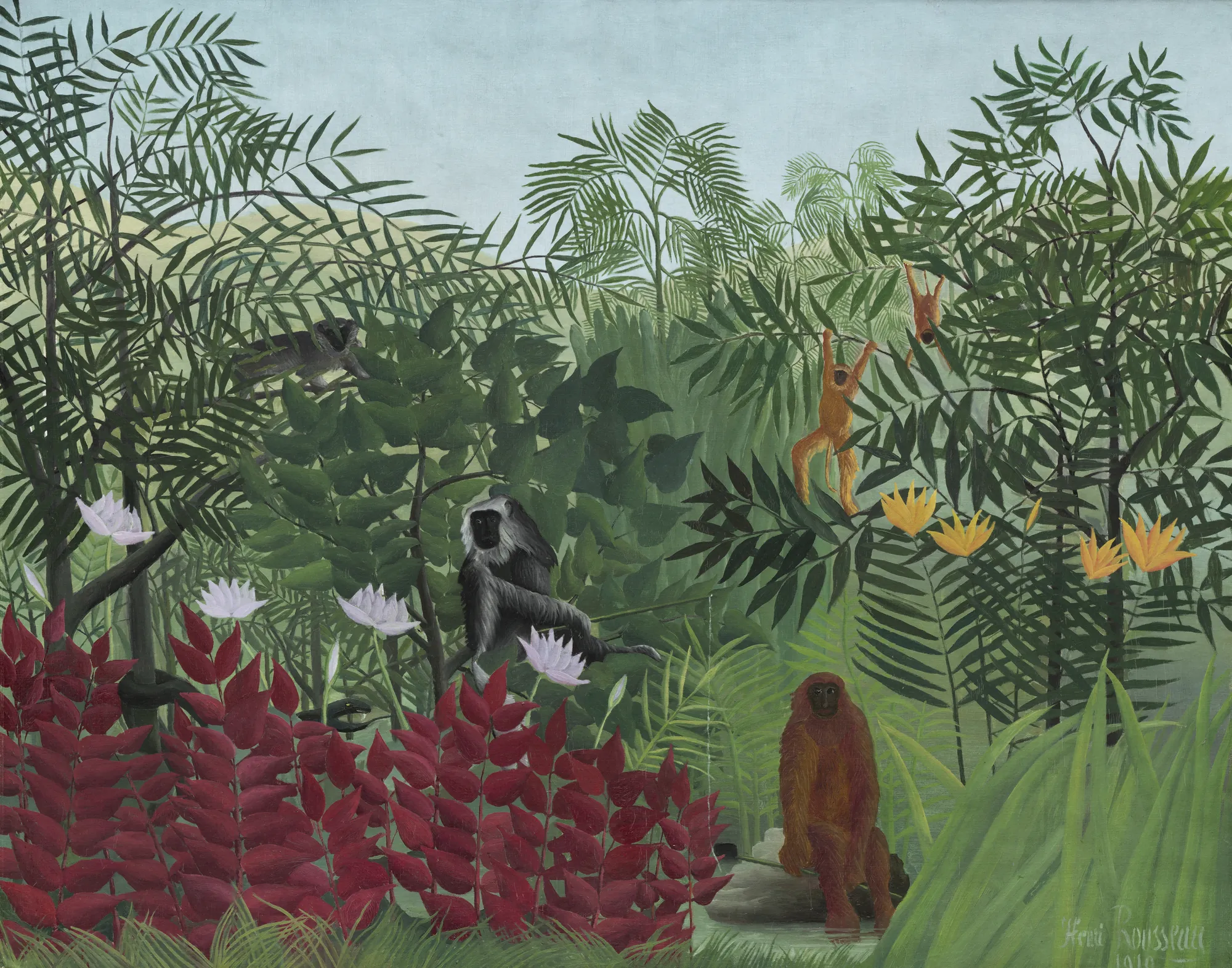Tropical Forest with Monkeys