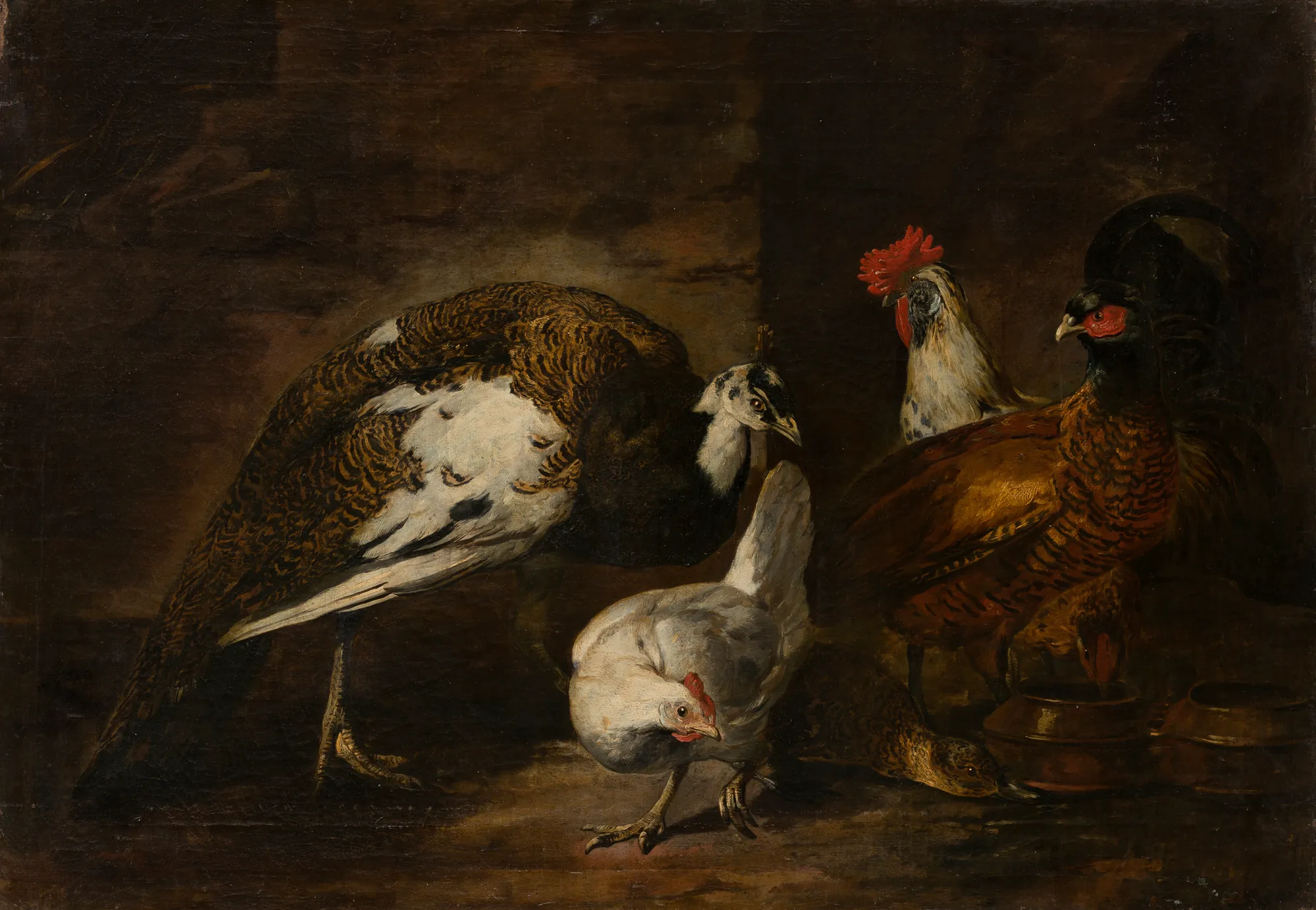 Poultry Yard with Peacock and Peahen