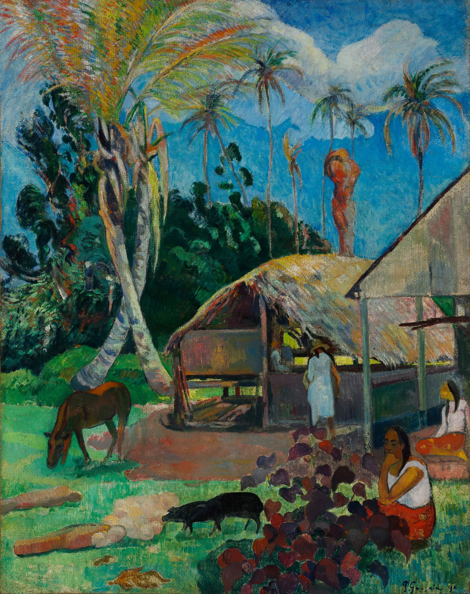 The Black Pigs