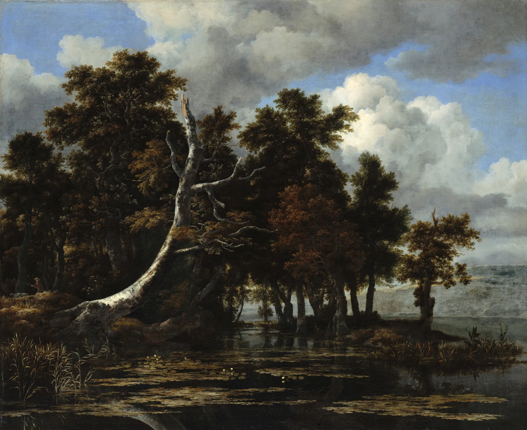Oaks at a Lake with Water Lilies