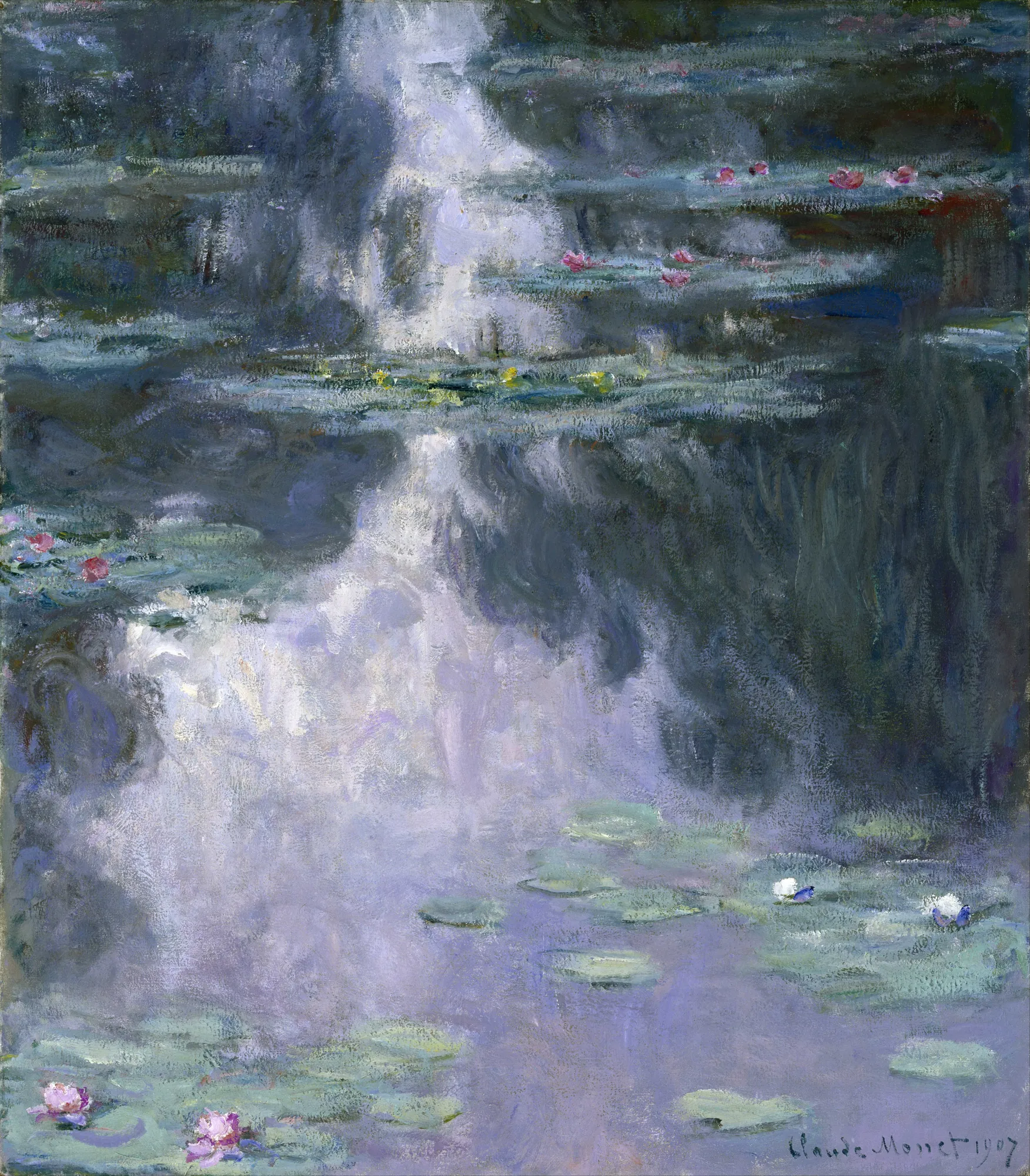 Water Lilies