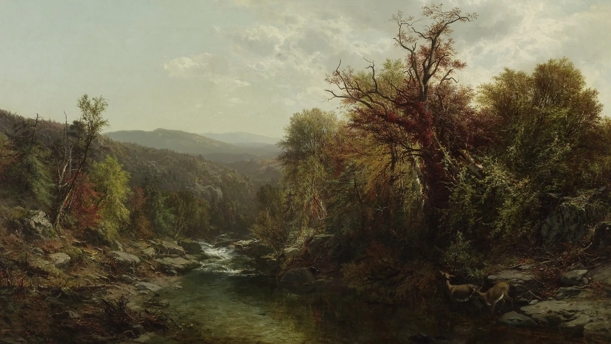 A Stream in the Adirondacks