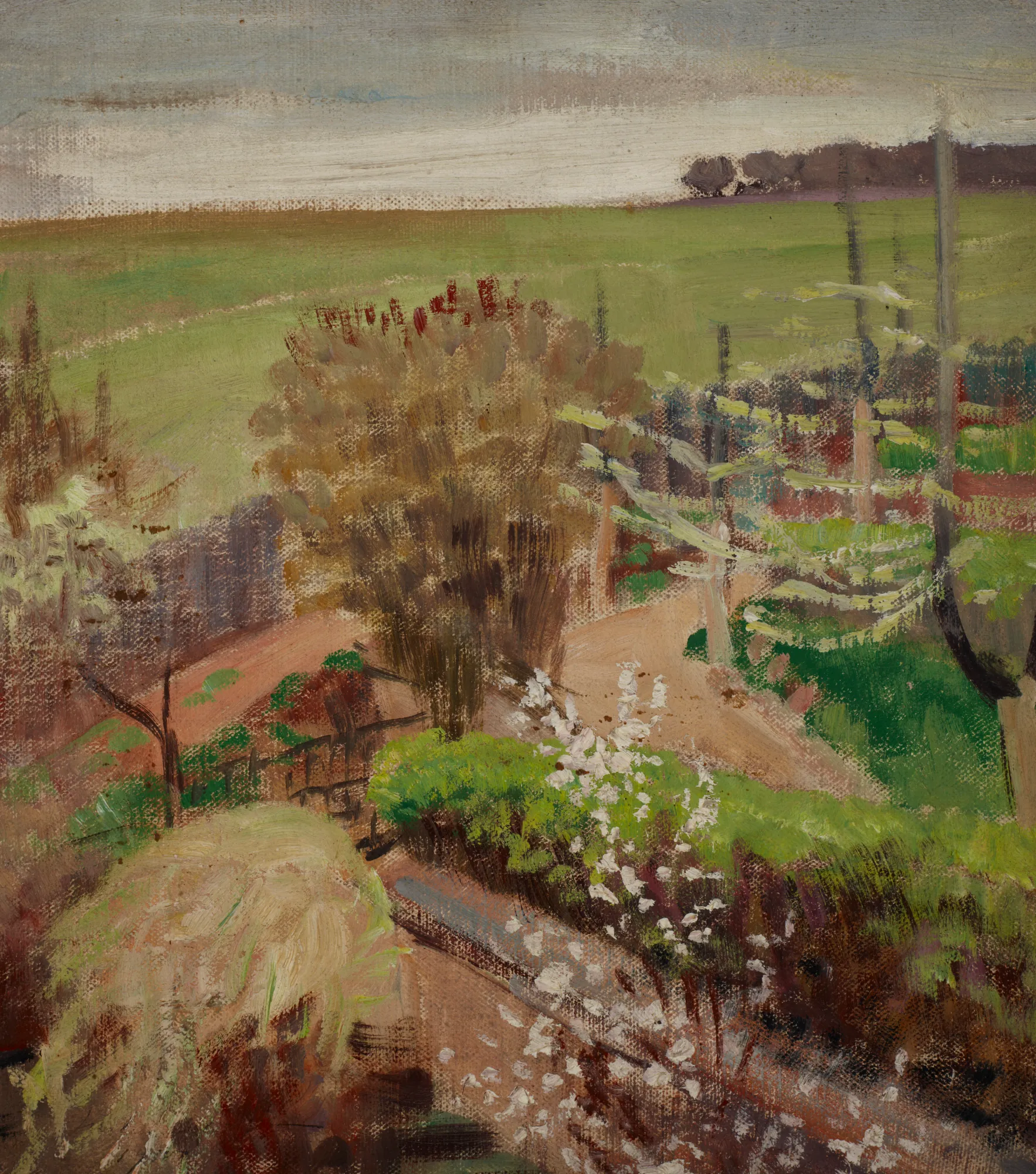 Spring Landscape from the Countryside