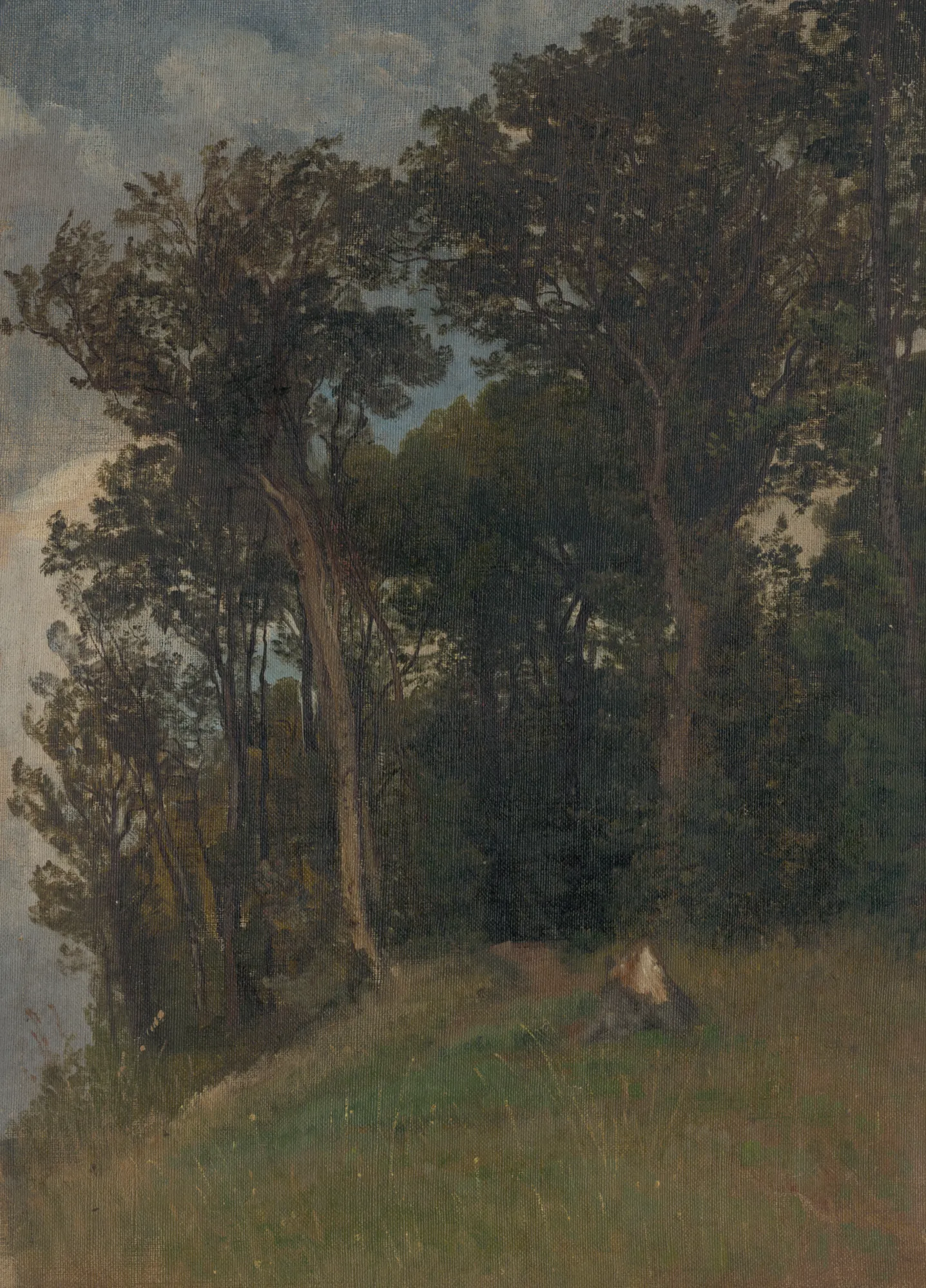 At the Edge of a Forest