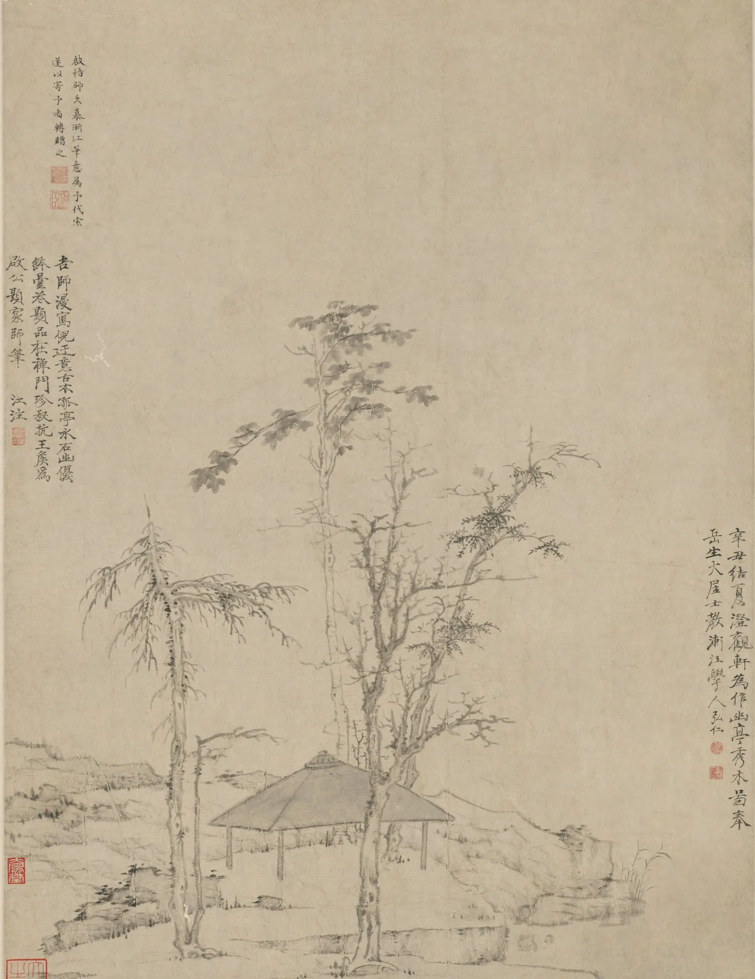 Pavilion and Sparse Trees