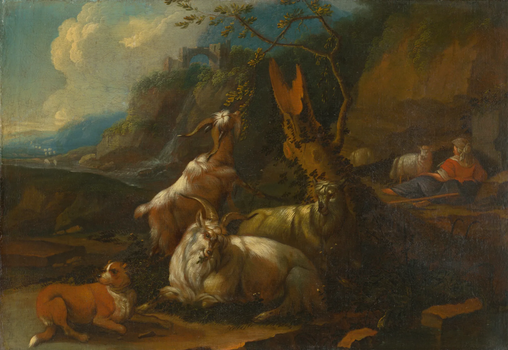 Goat Herd with a Goatherd