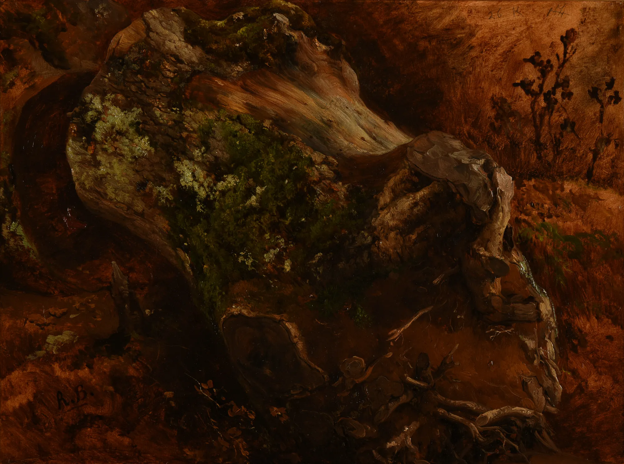 Cut Tree Trunk with Roots