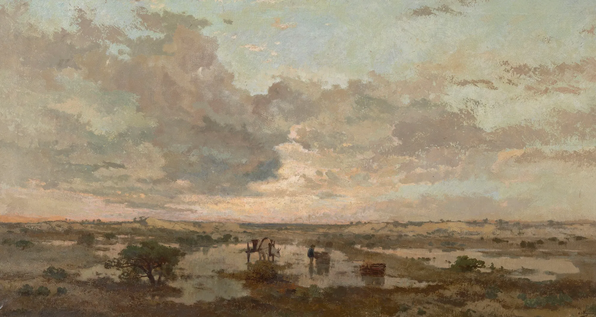 Sunset on the Heath