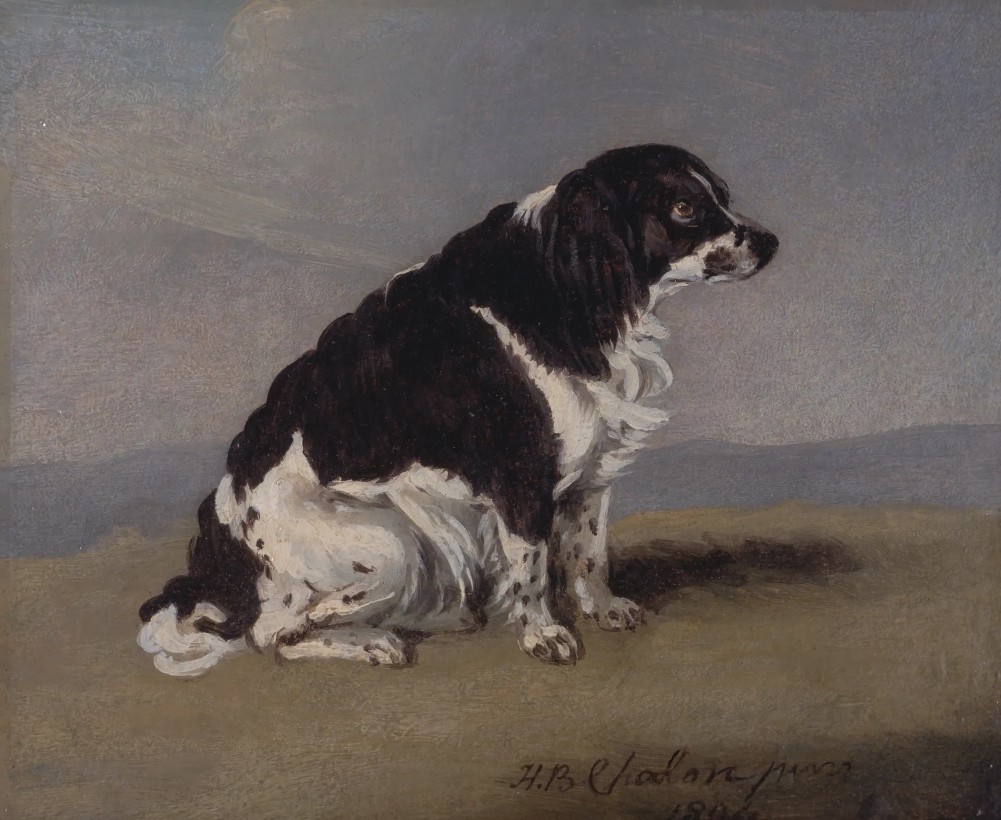 The Duchess of York's Spaniel