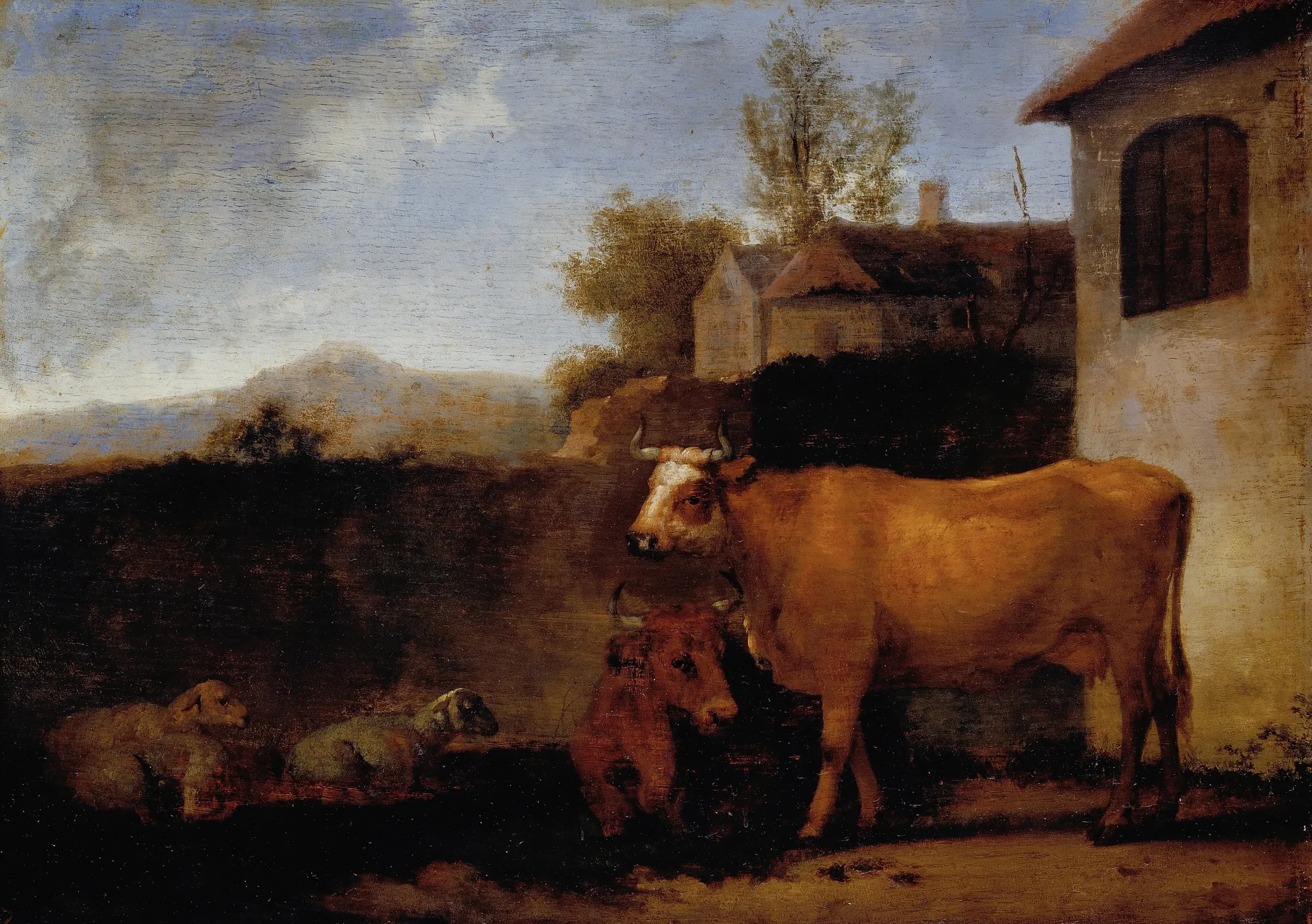 Cows and Sheep