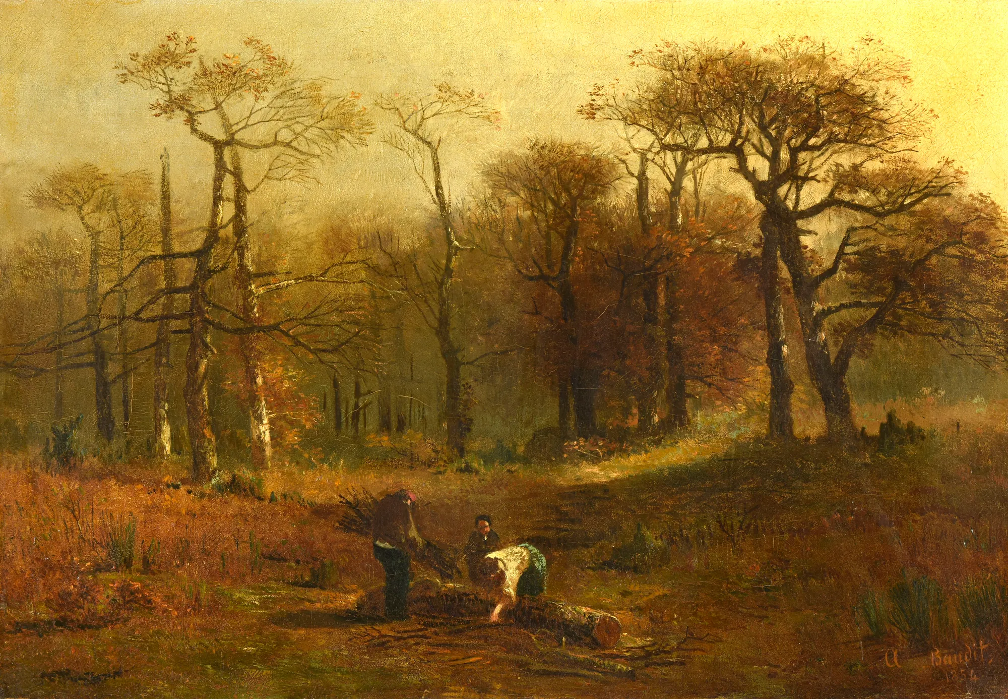 Coupée dans un bois