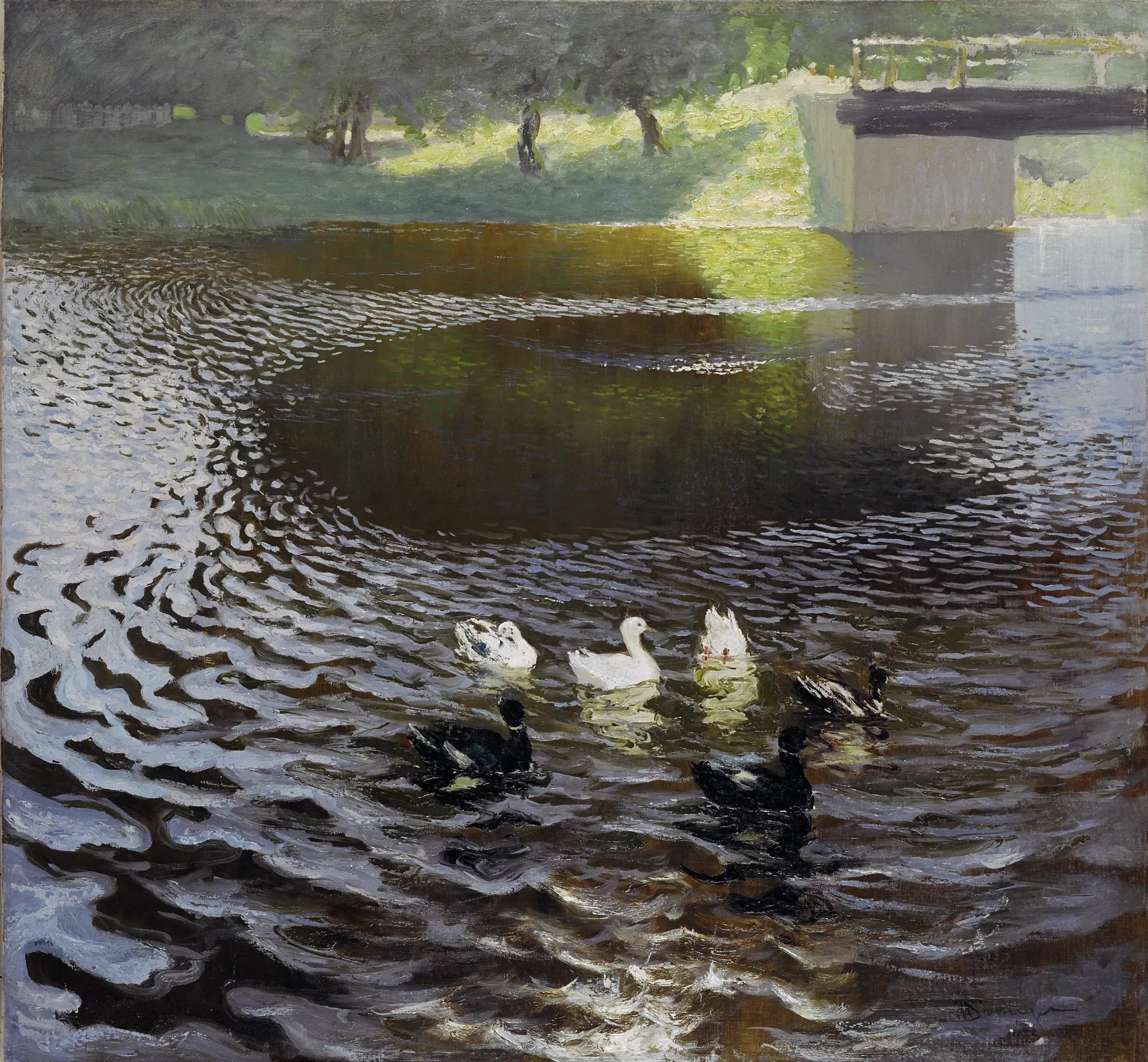 Ducks