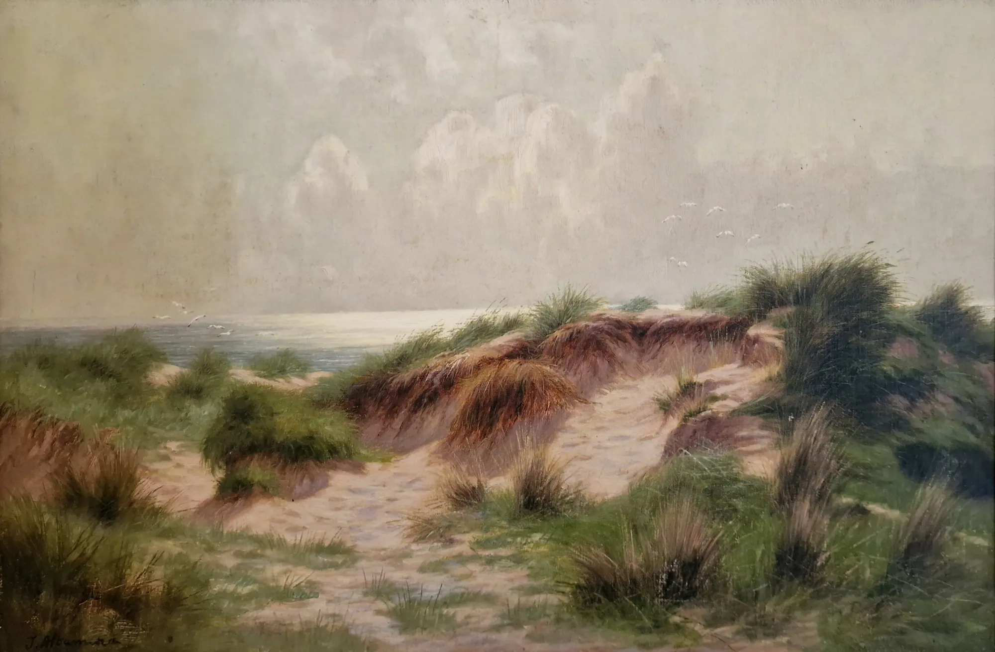 Coastal Landscape