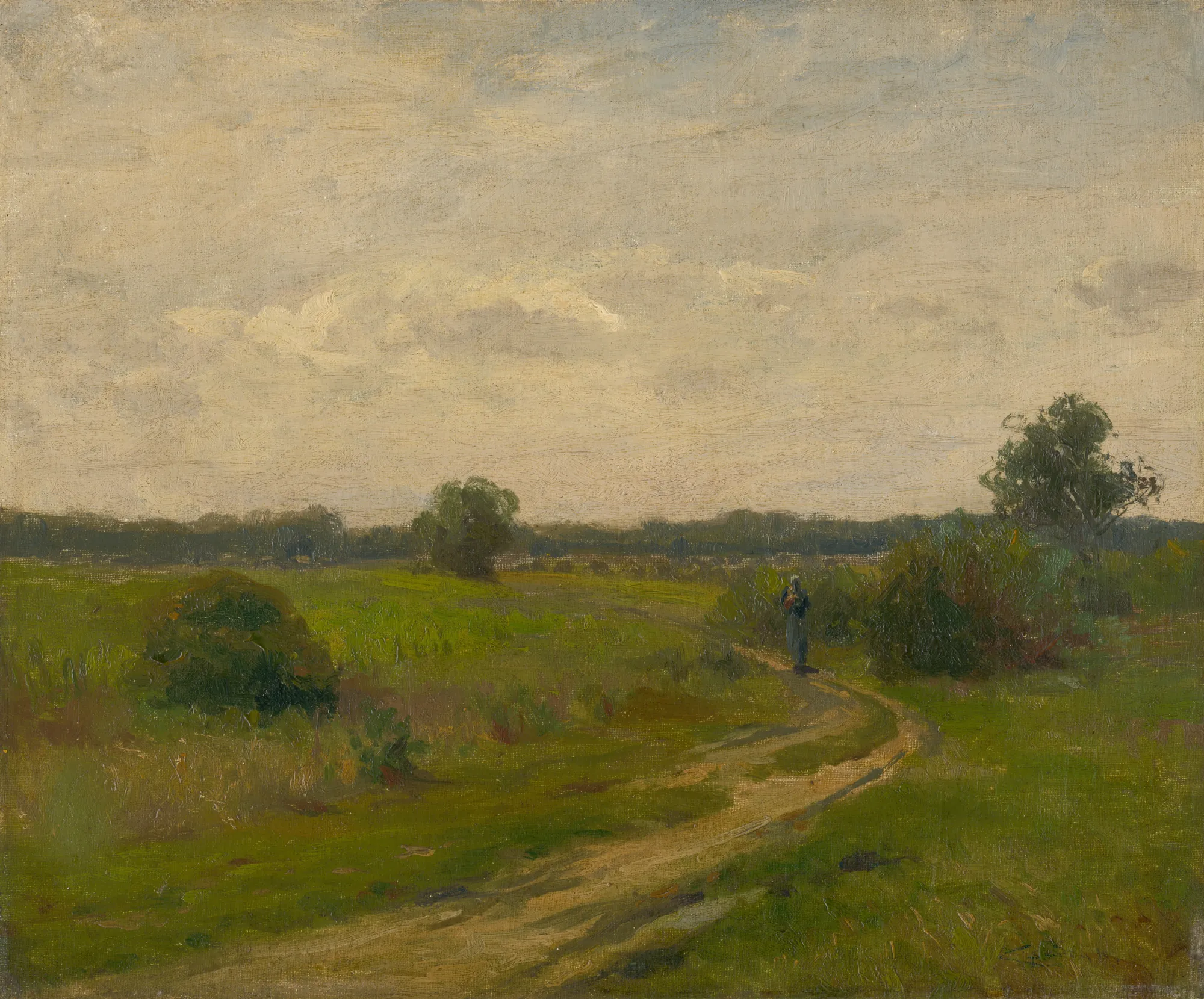 Summer Landscape