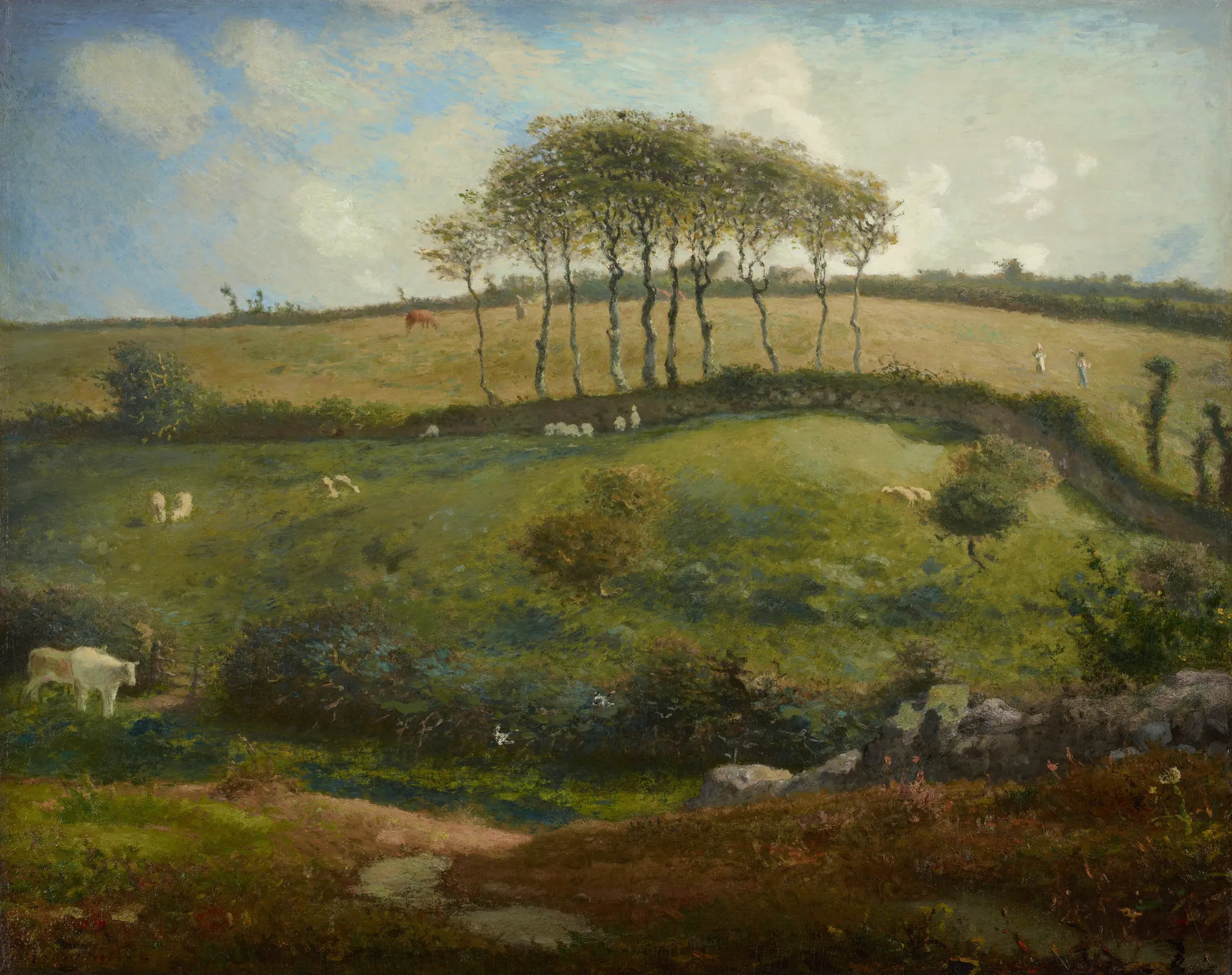 Pasture near Cherbourg (Normandy)