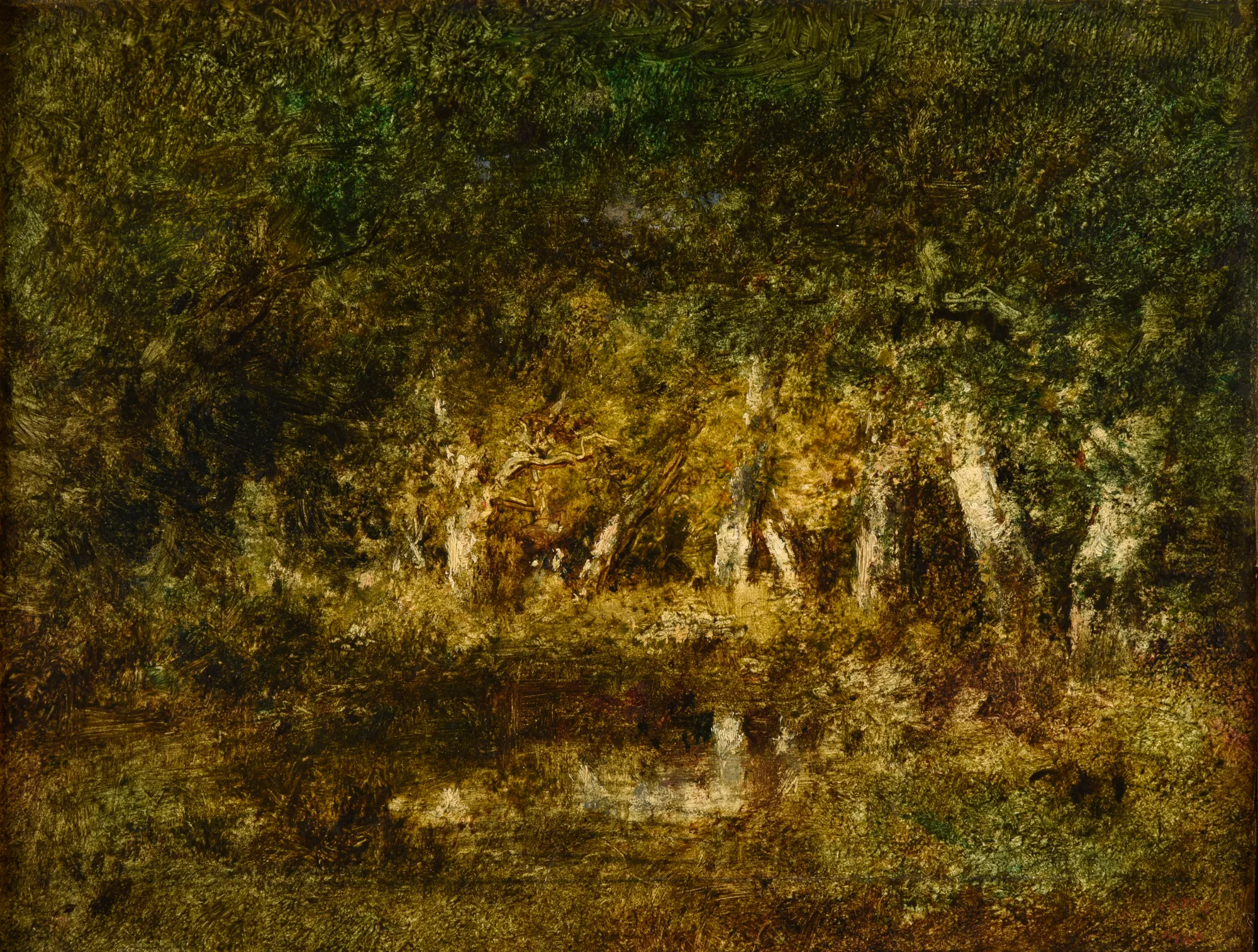 Petite mare en forêt