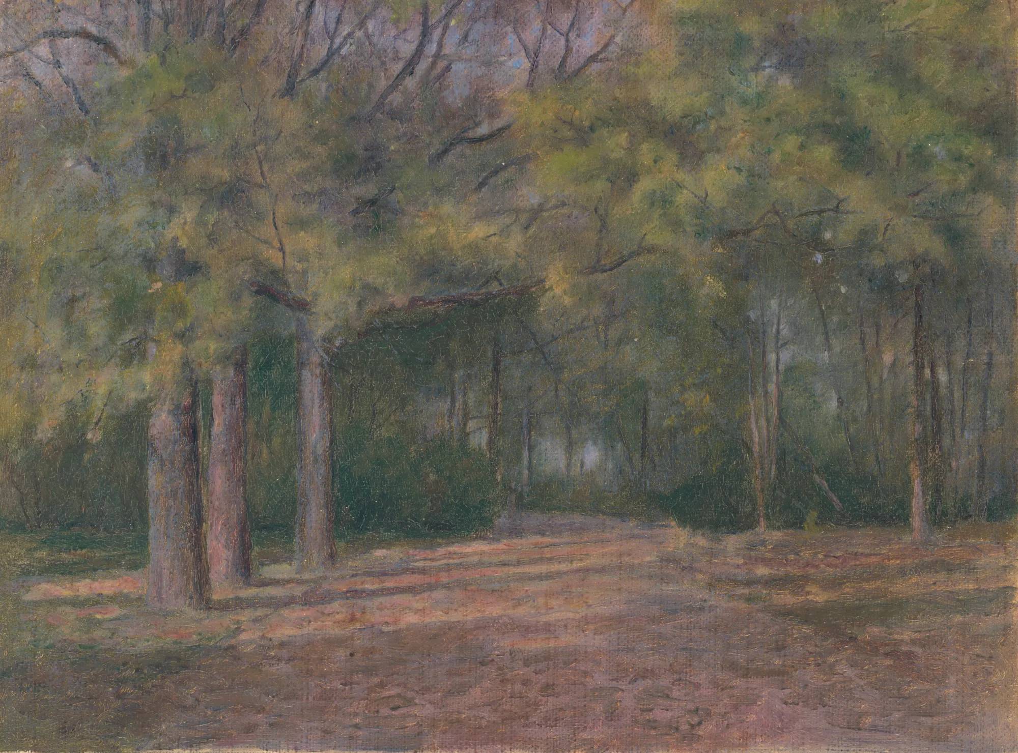 Forest II