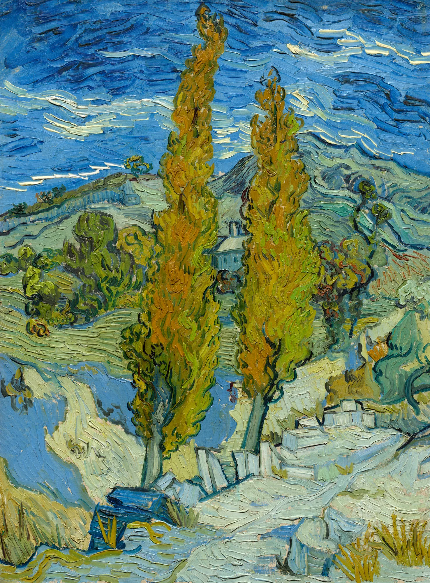 Two Poplars in the Alpilles near Saint-Rémy