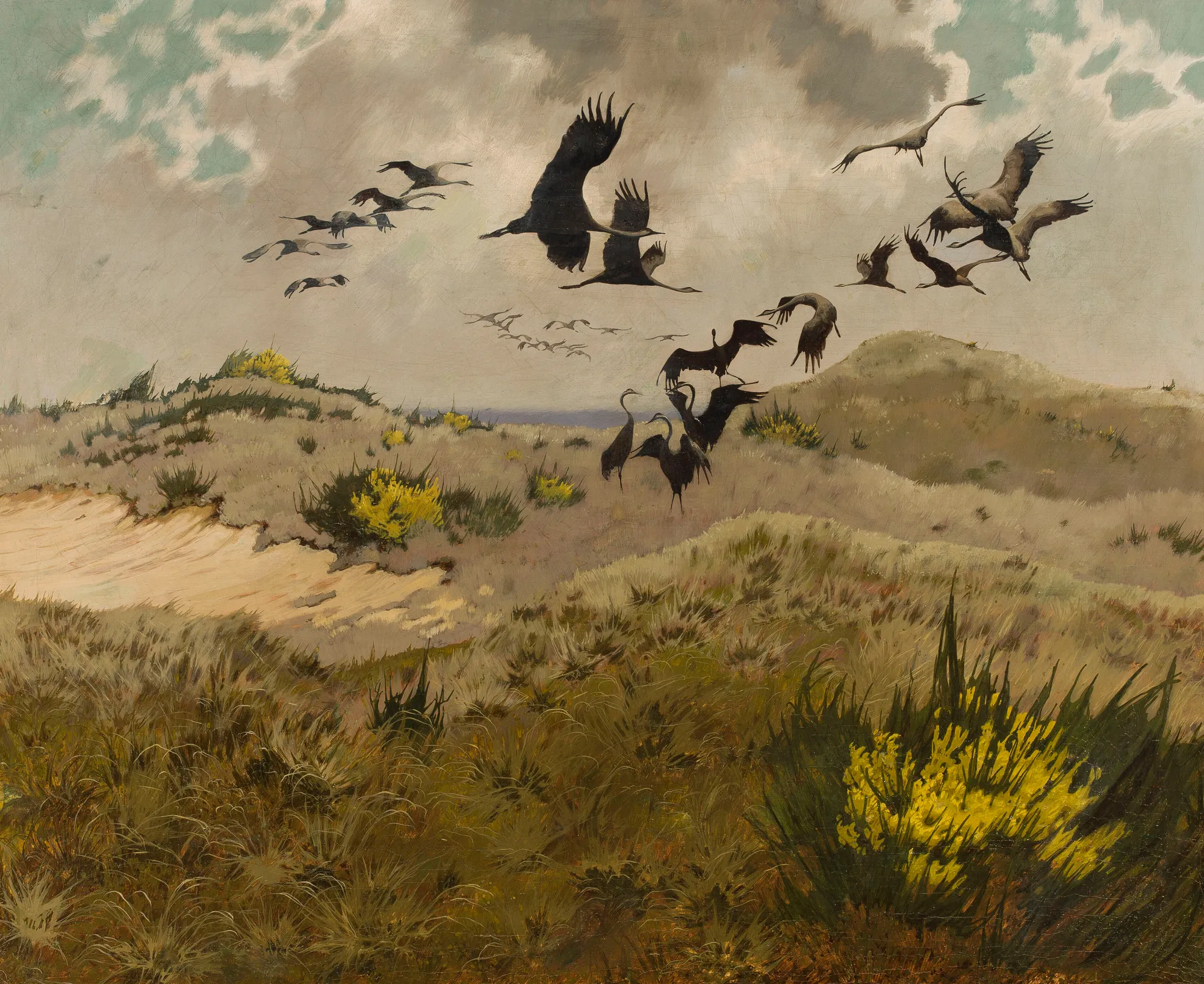 Cranes in Dunes